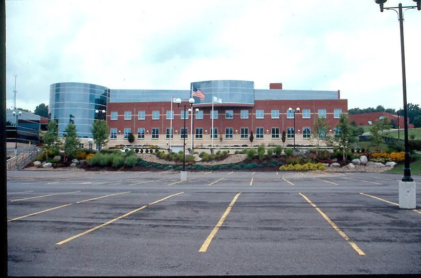 Mylan11.jpg