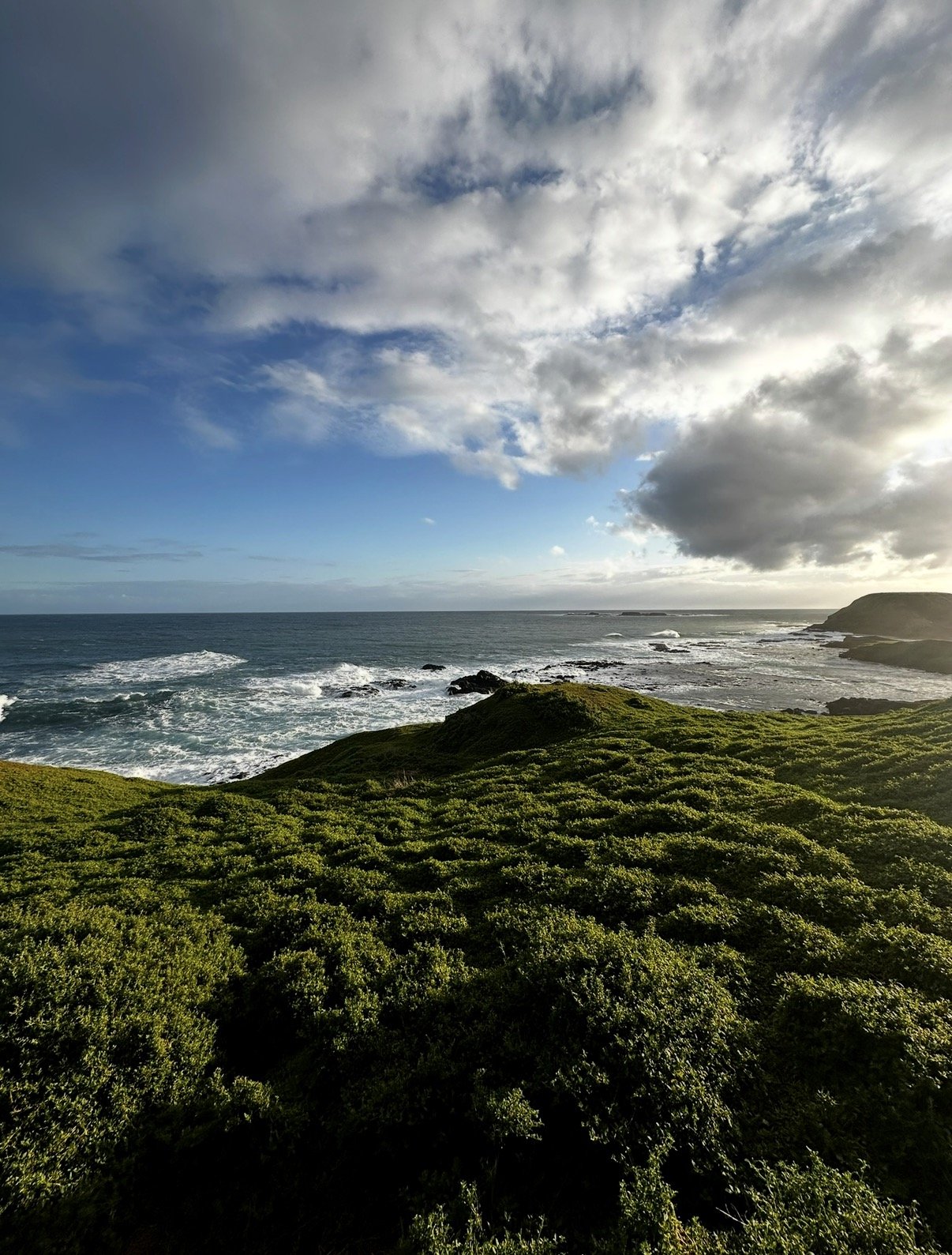 A coastal landscape with green shrubbery in the foreground, rocky shoreline with waves crashing, and the ocean extending to the horizon under a partly cloudy sky.