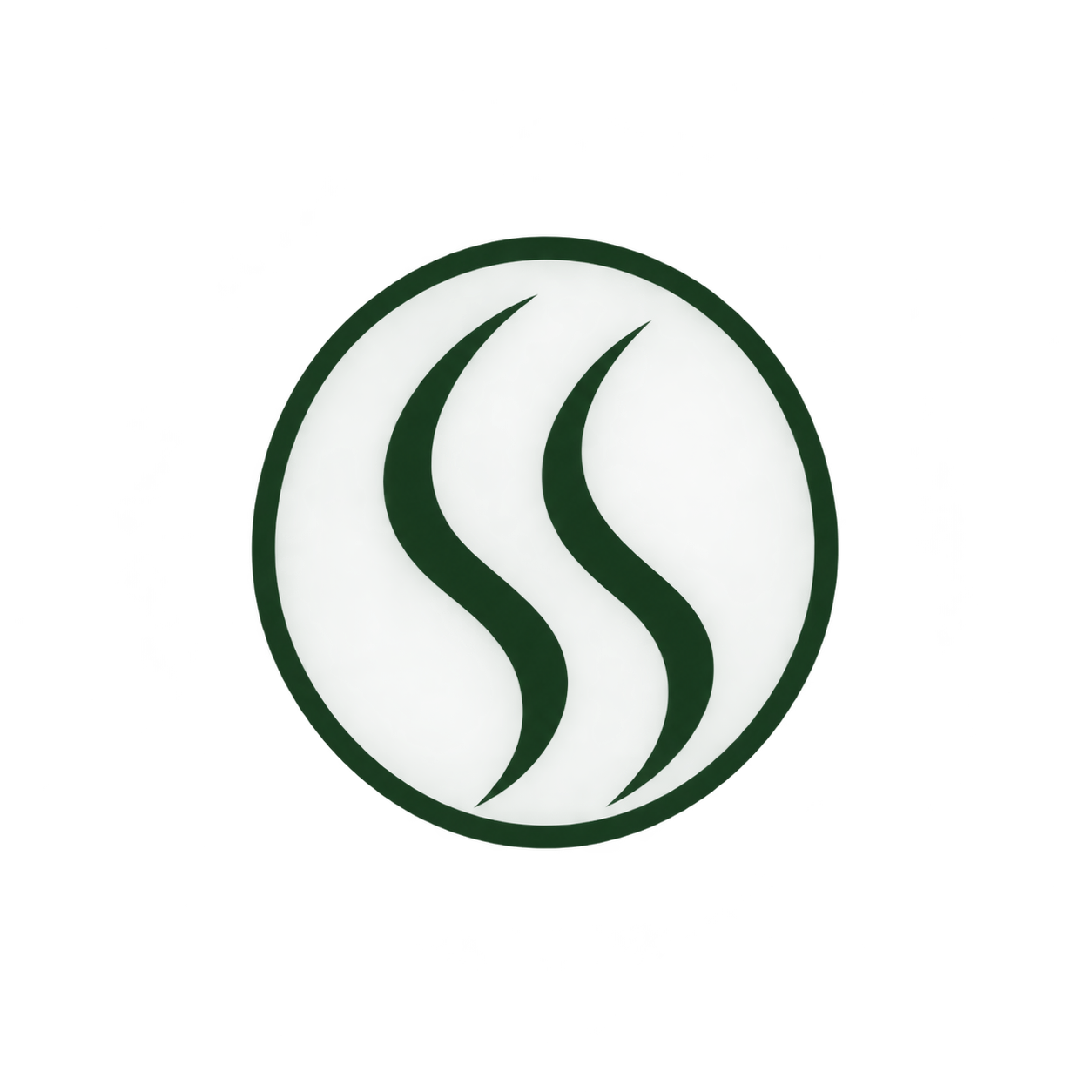 Steady State logo with green waves inside a circular shape.