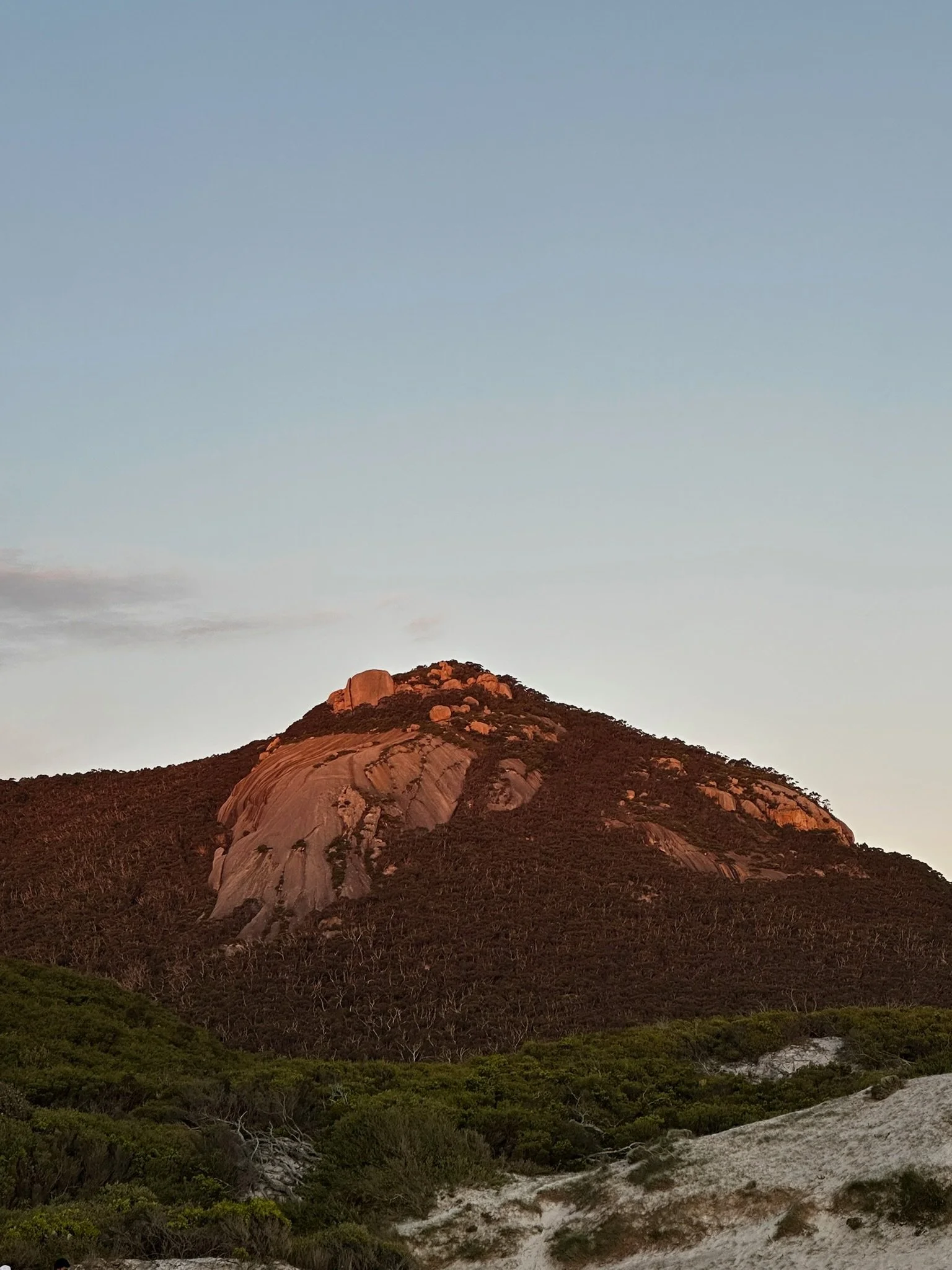 A mountain with rocky peaks and sparse trees on its slopes, with a green forest at the base, under a clear sky at dusk.