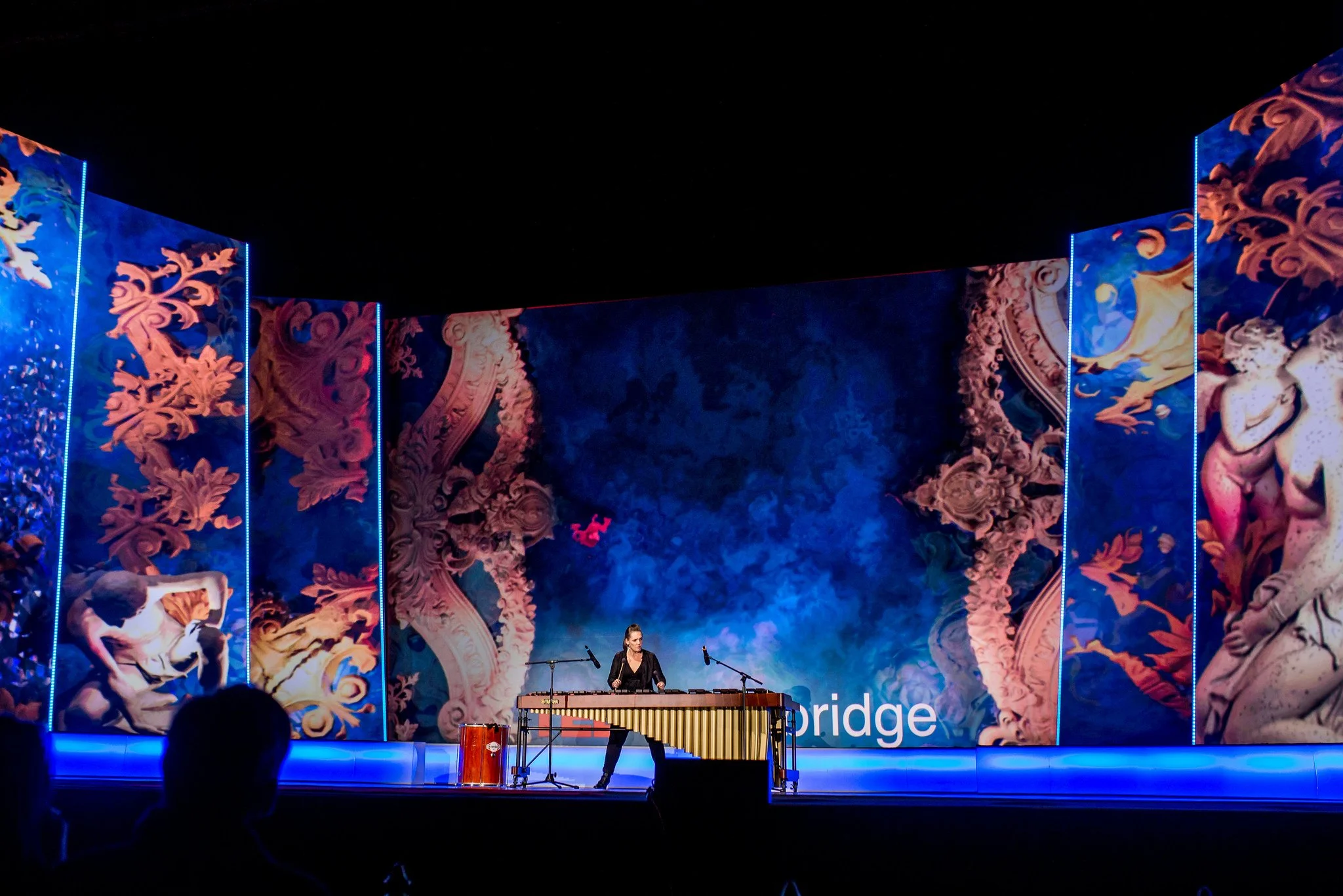 Finkelmeier_TEDx Cabridge2.jpg