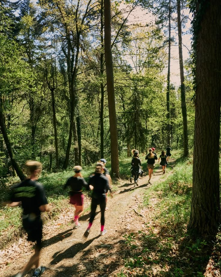 Groupe de coureurs sur un sentier forestier ensoleillé