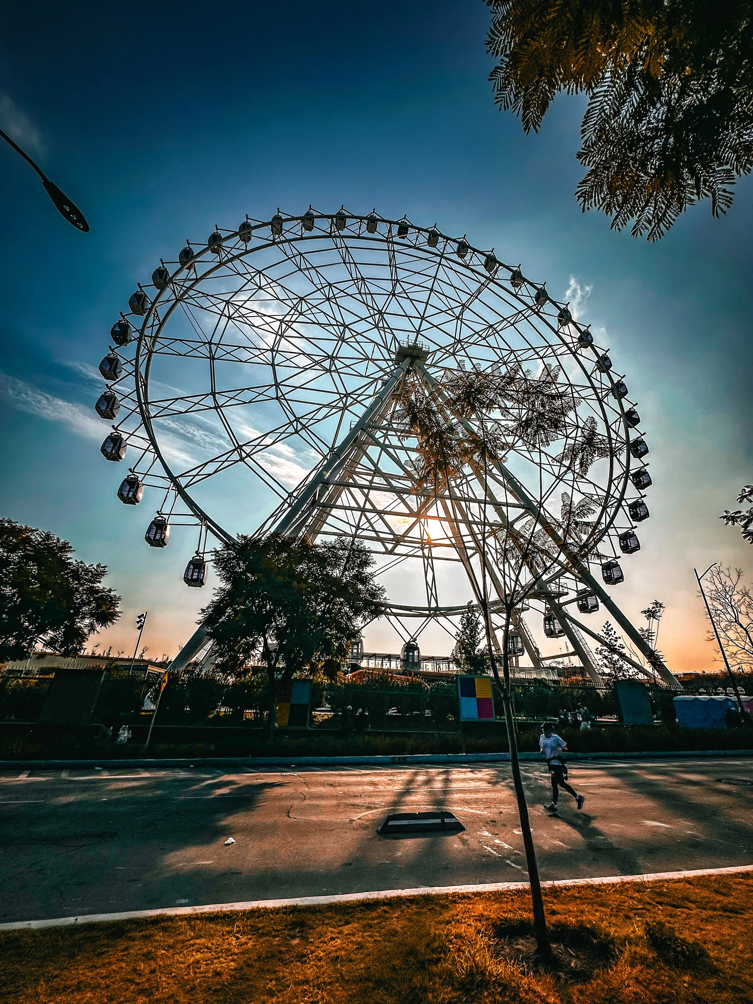 Rueda de la fortuna a contraluz junto a una avenida arbolada al atardecer.