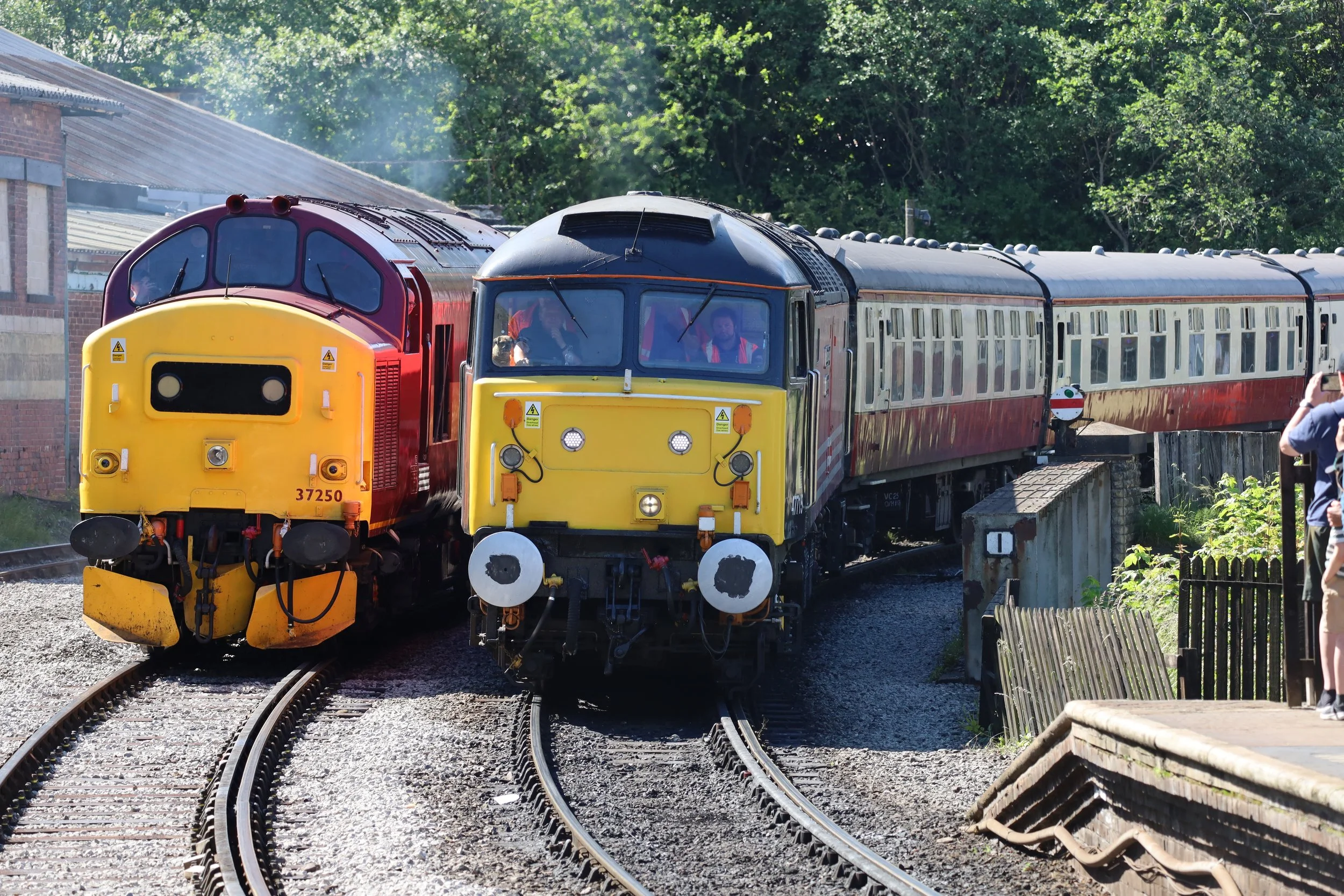 Two vintage passenger trains on parallel tracks, one yellow and red and the other black and red, with people taking photos nearby and trees in the background.