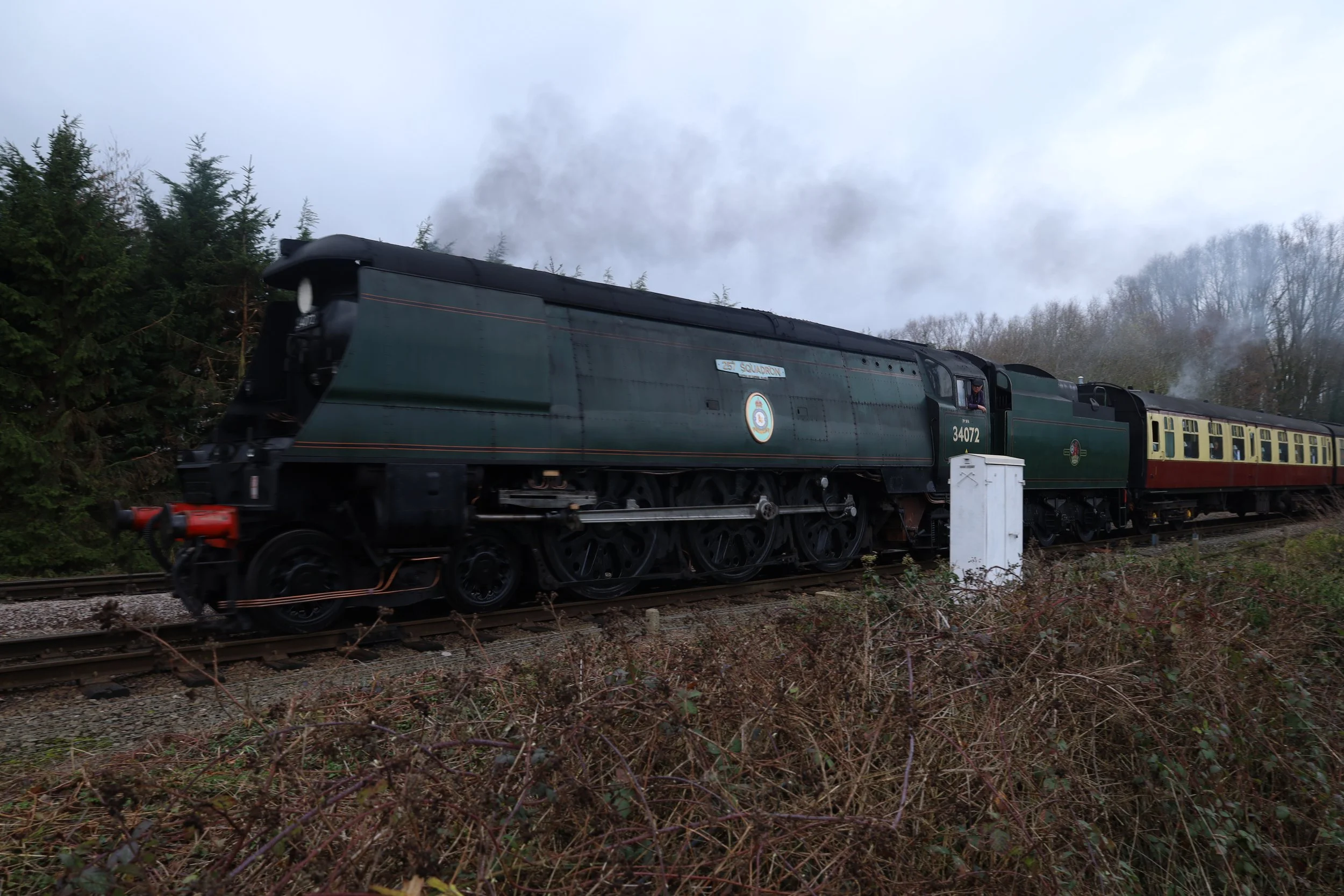 A vintage steam locomotive train traveling on tracks near trees and overgrown plants, with smoke emitting from the engine, under an overcast sky.