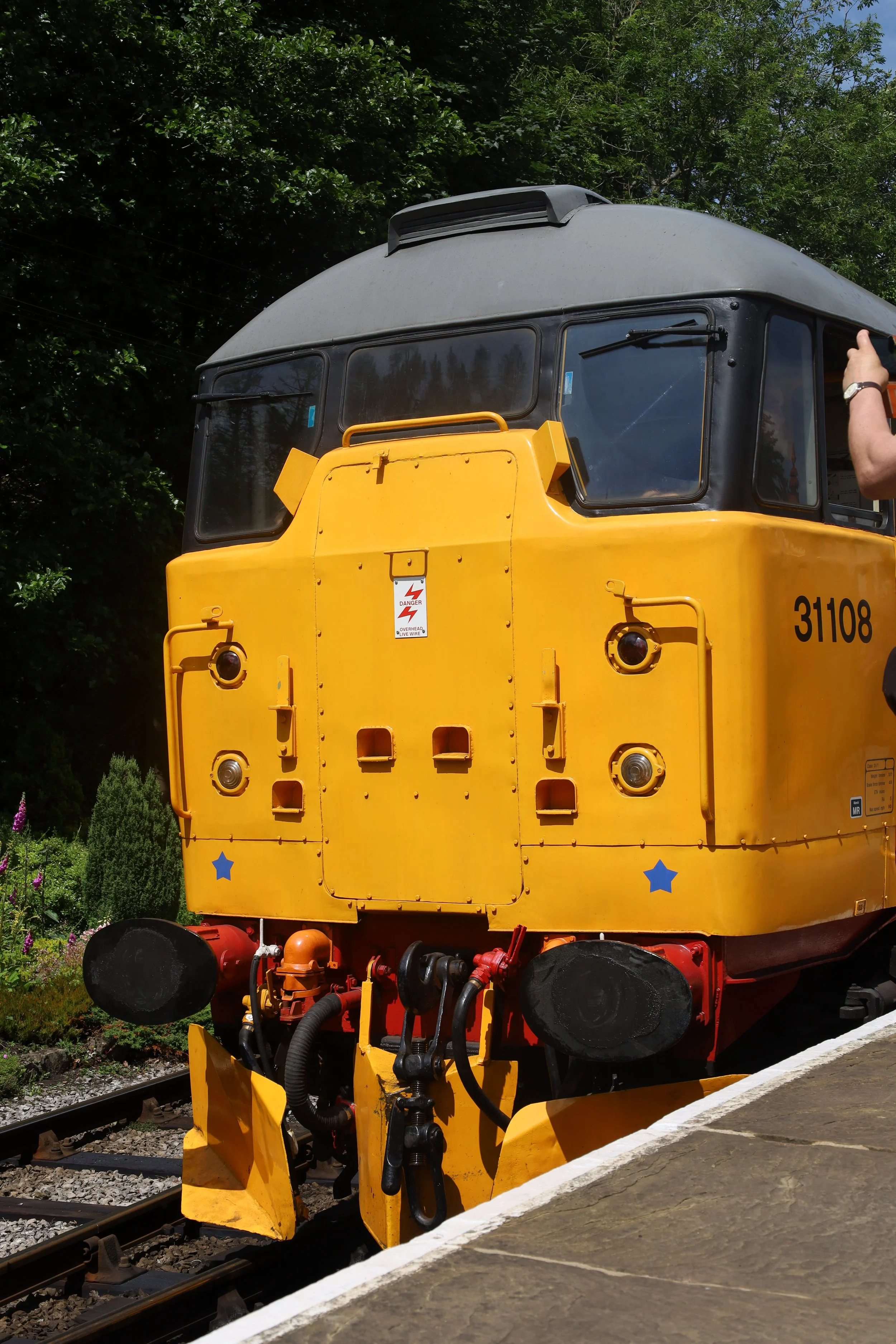 A yellow train with a black front end on train tracks, surrounded by green trees and plants.