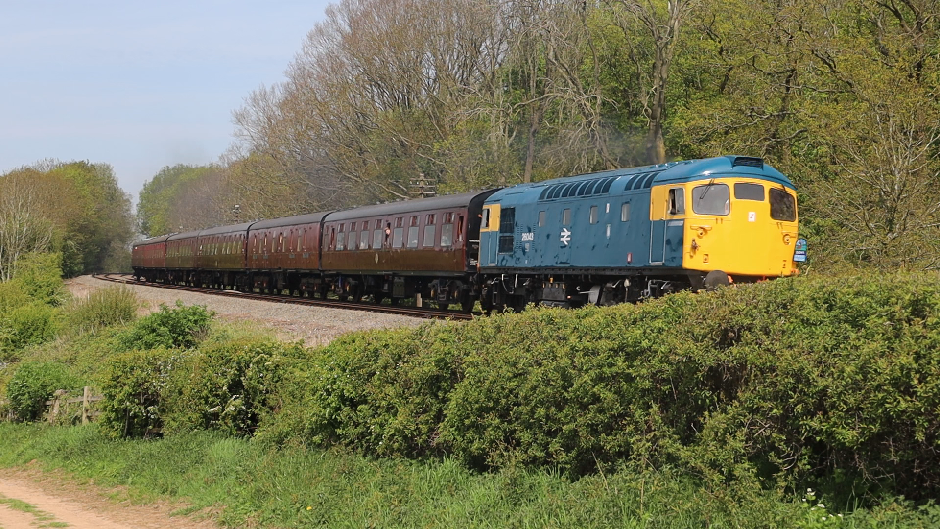 A vintage train with a blue and yellow locomotive pulling several brown passenger cars traveling through a lush, green countryside on a clear day.