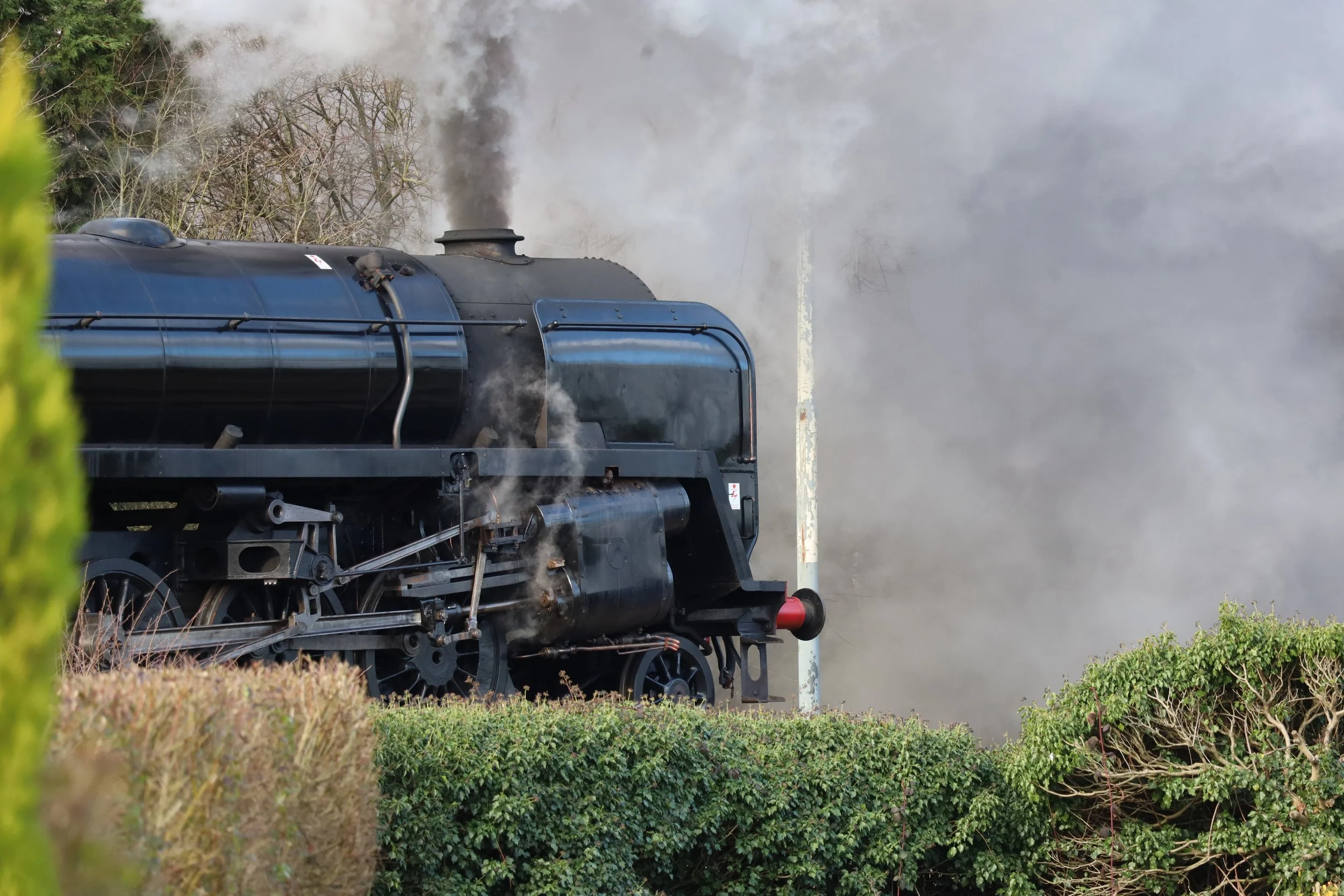 A black steam locomotive train emitting thick black smoke as it moves through greenery with bushes and trees in the background.