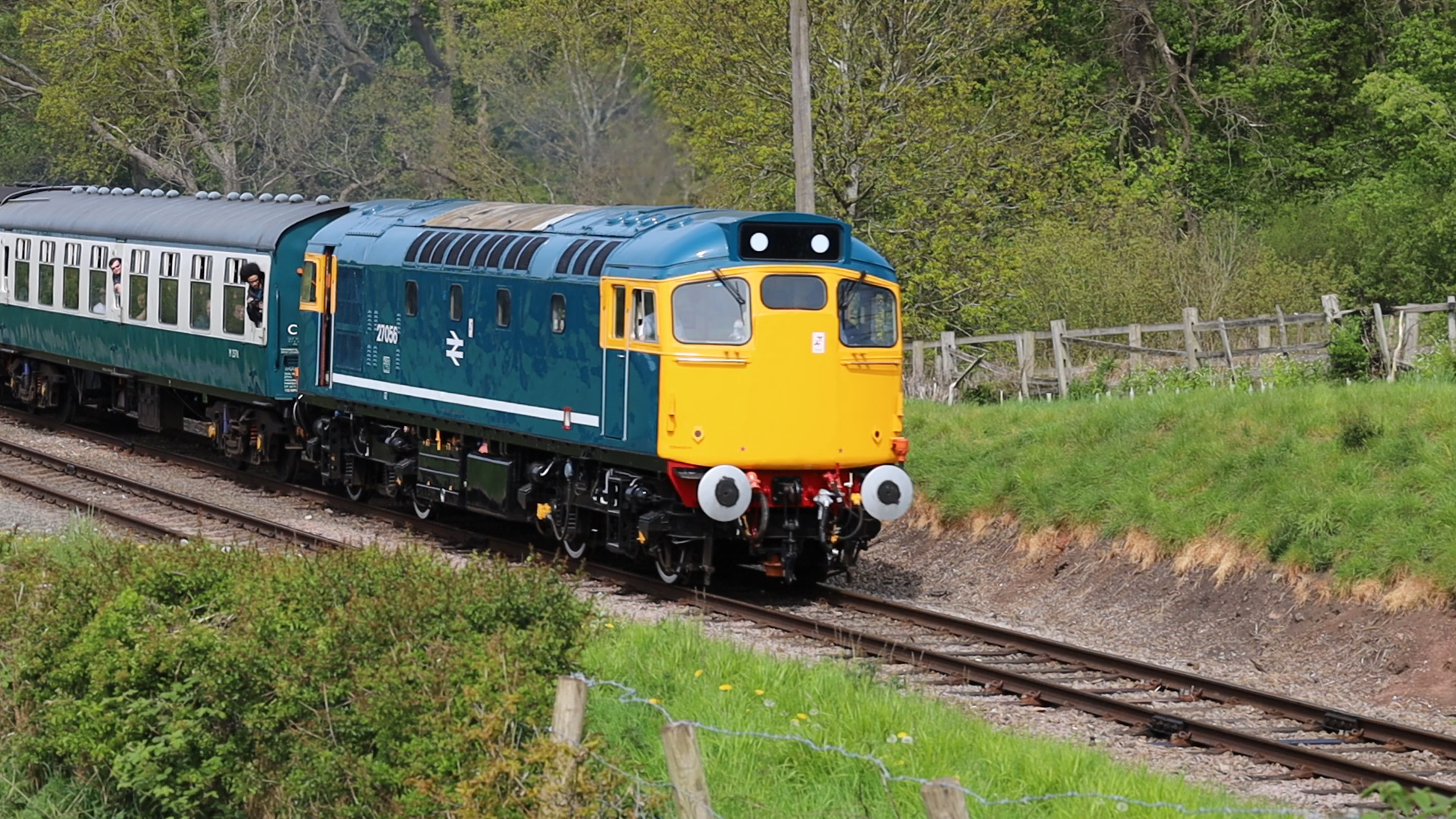 A blue and yellow diesel train traveling on tracks through a green countryside with trees and a wooden fence in the background.