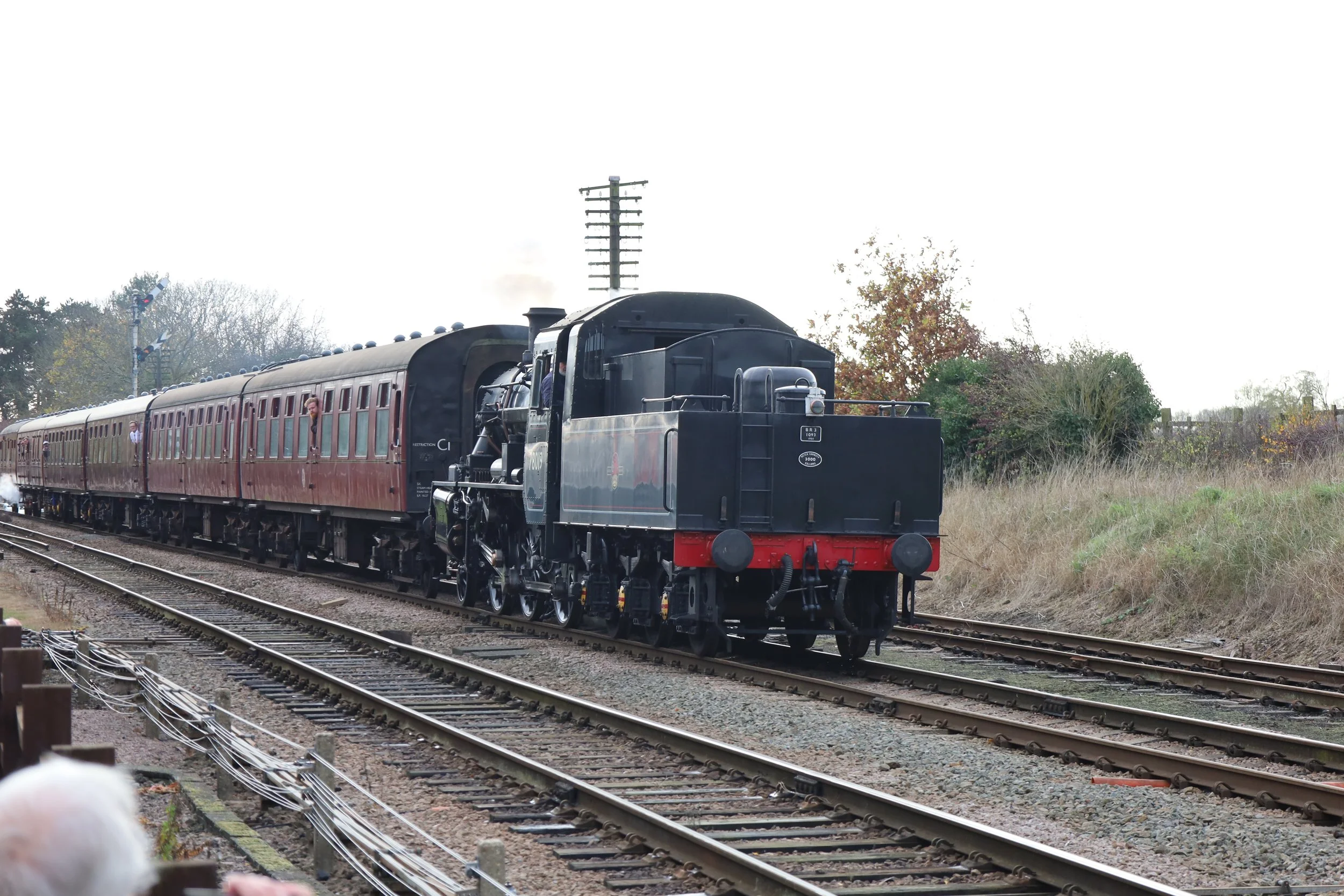 A vintage black steam locomotive pulling passenger cars along a railway track in a rural area surrounded by trees and bushes.