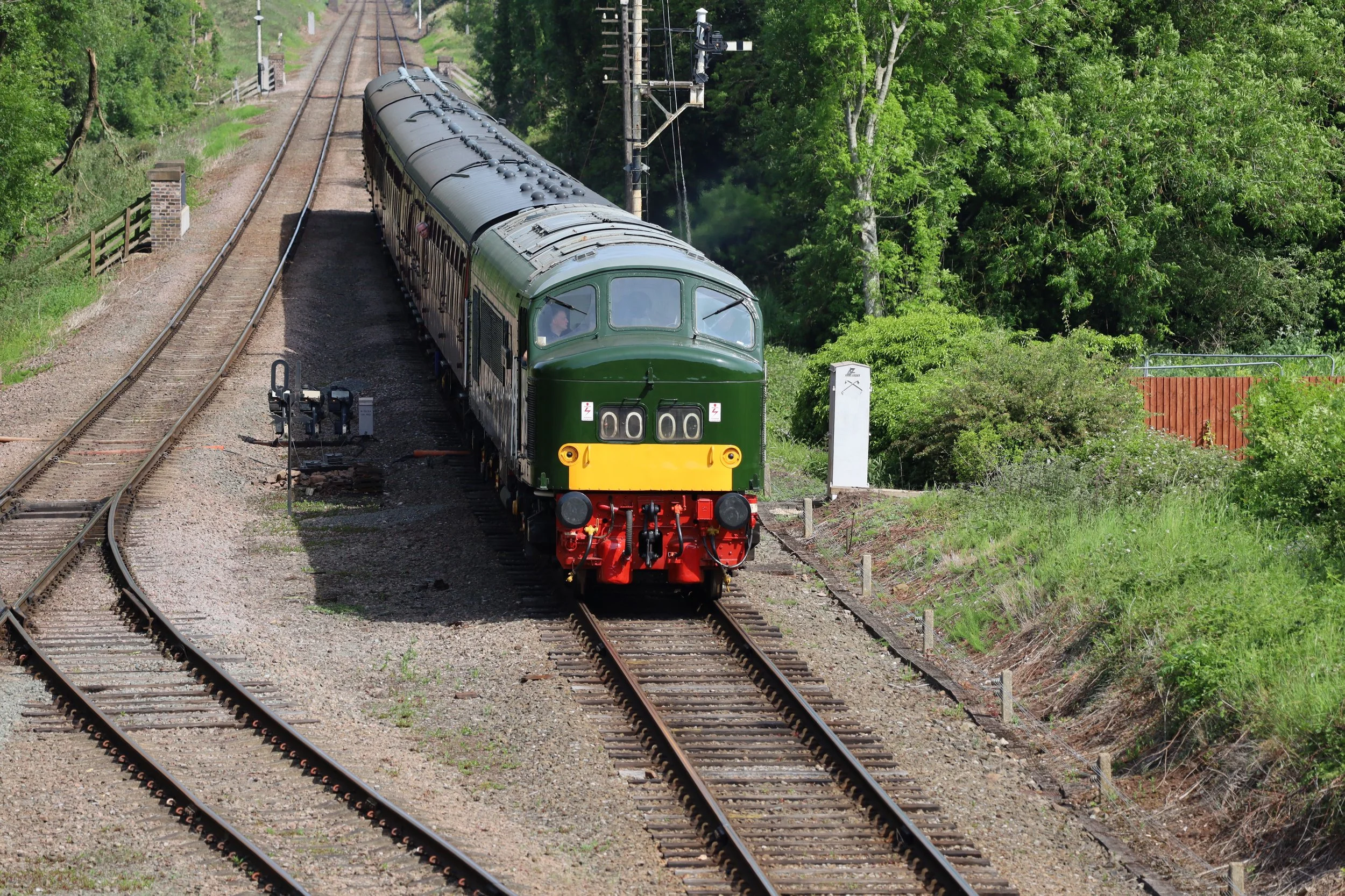 A vintage green train with a yellow front traveling on a dual railway track surrounded by green trees.