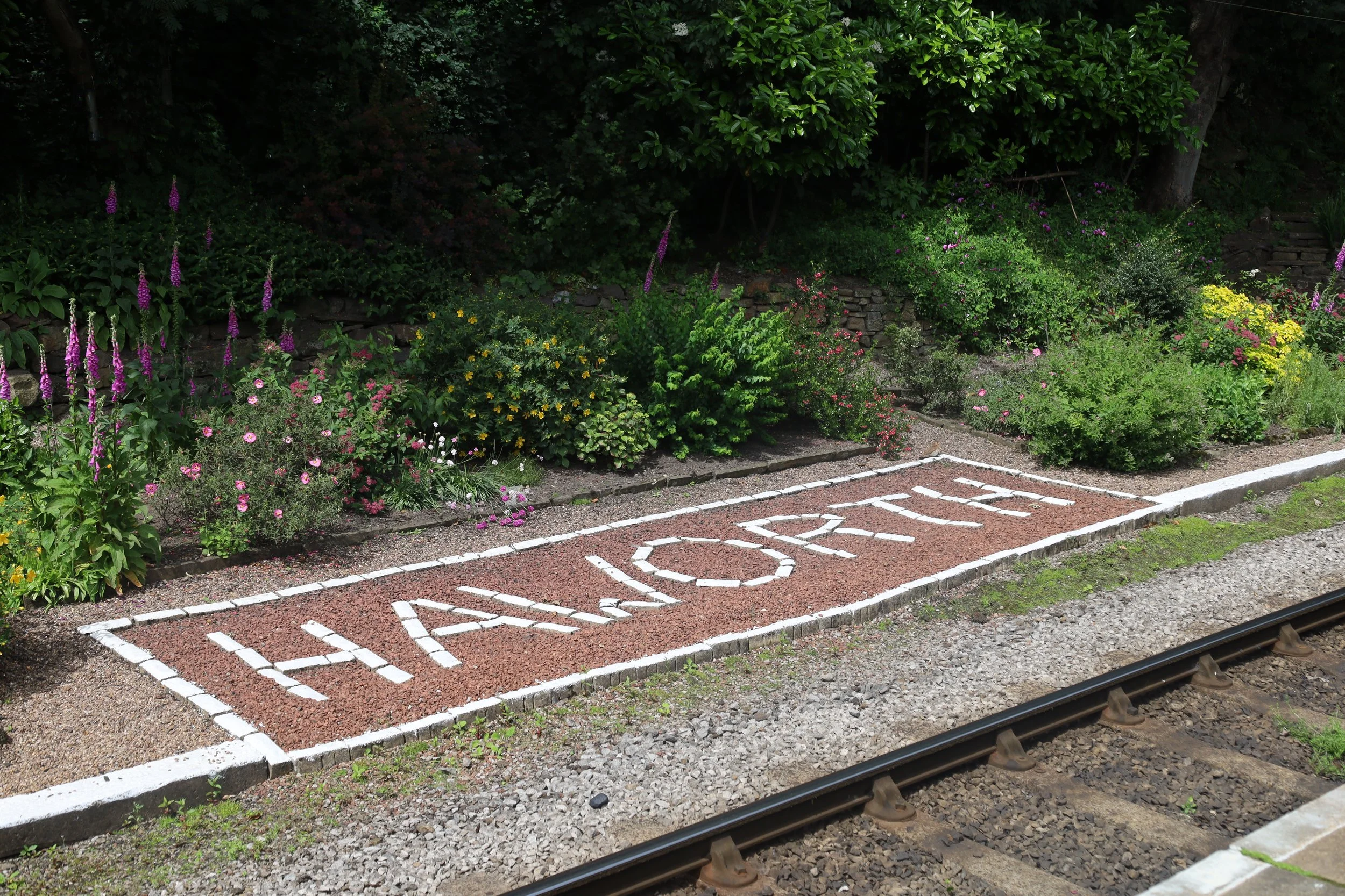 A railroad track with a painted stop zone on the gravel beside it, surrounded by lush green plants and trees.