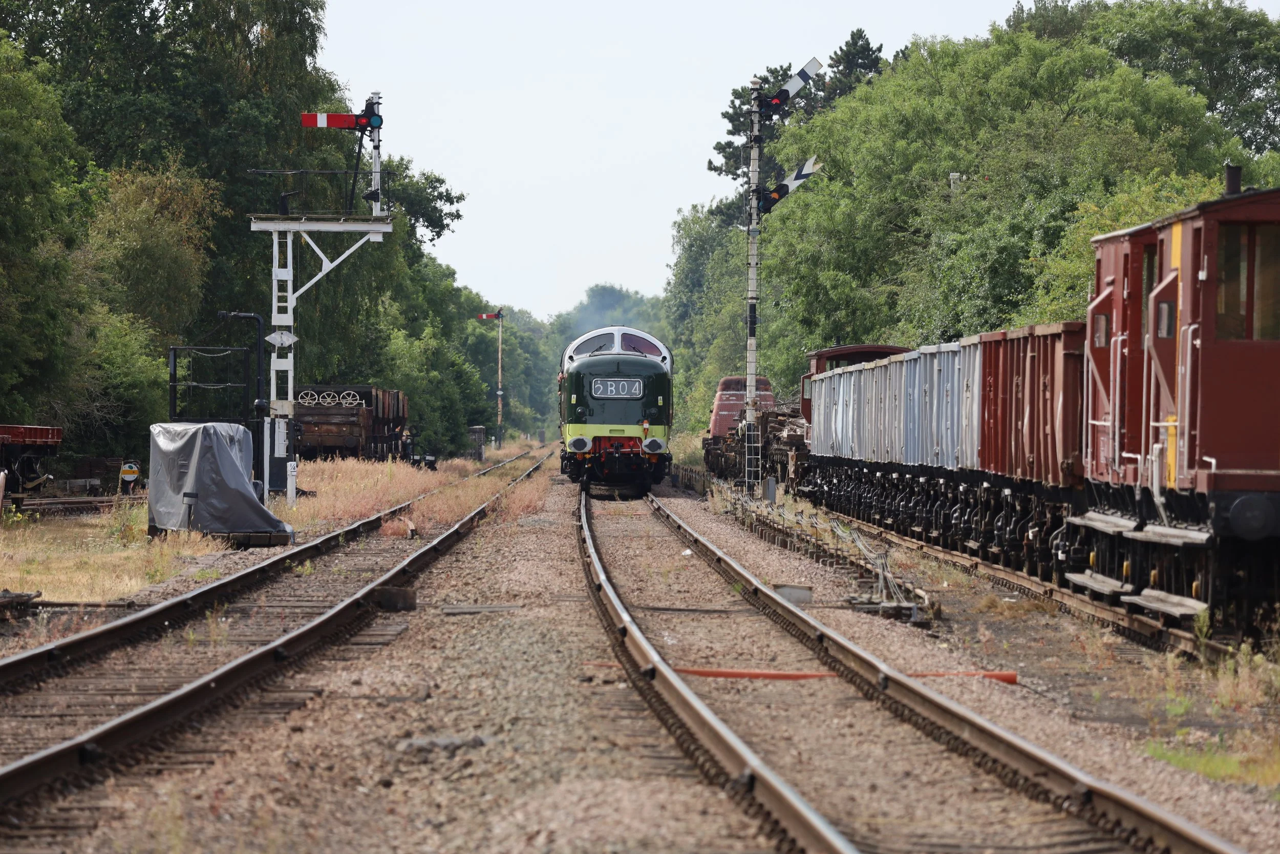 A train on railroad tracks with semaphore signals and lush green trees on either side.