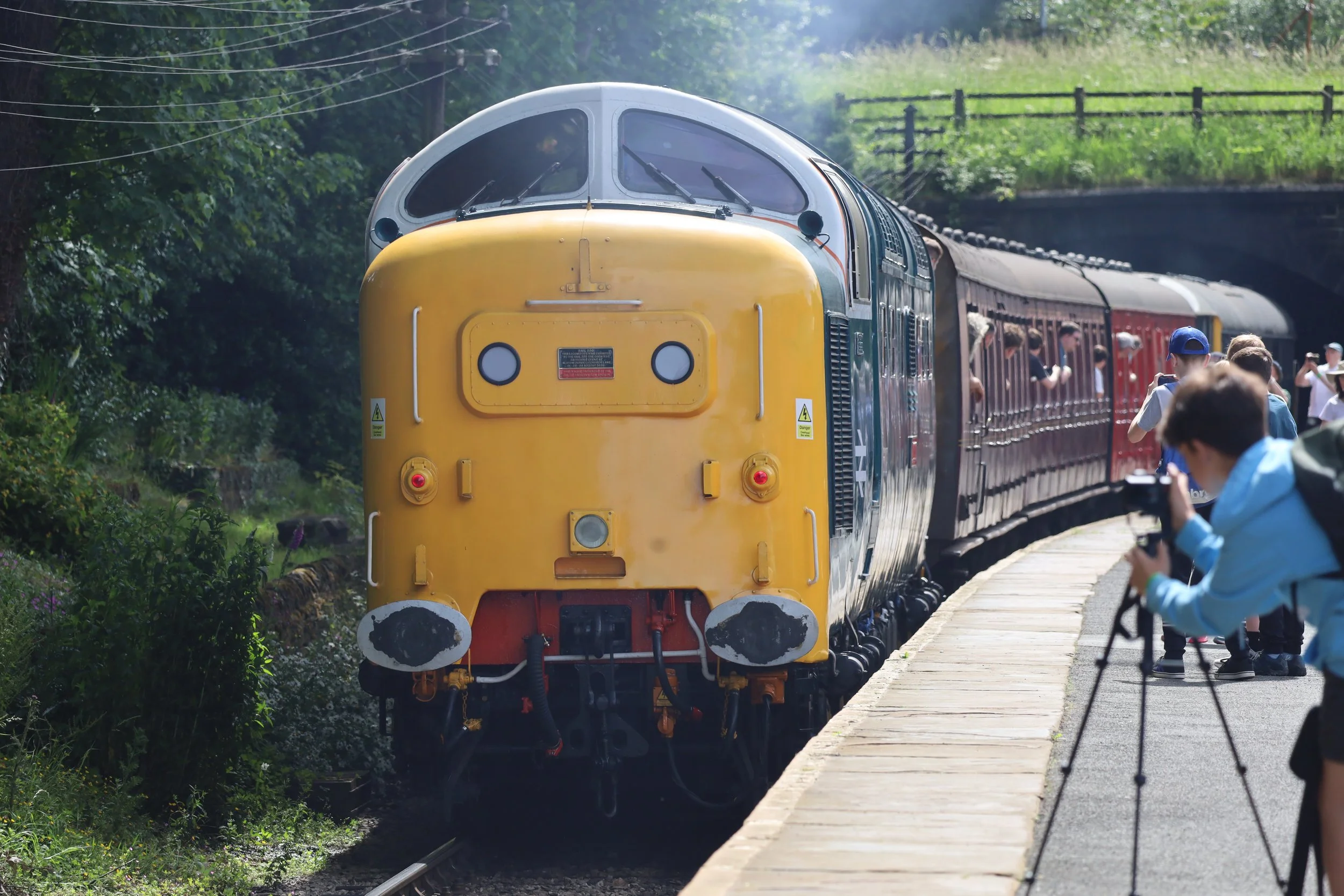 A yellow train is approaching a curved outdoor train platform with people waiting and taking photos. There are trees and a park area in the background.