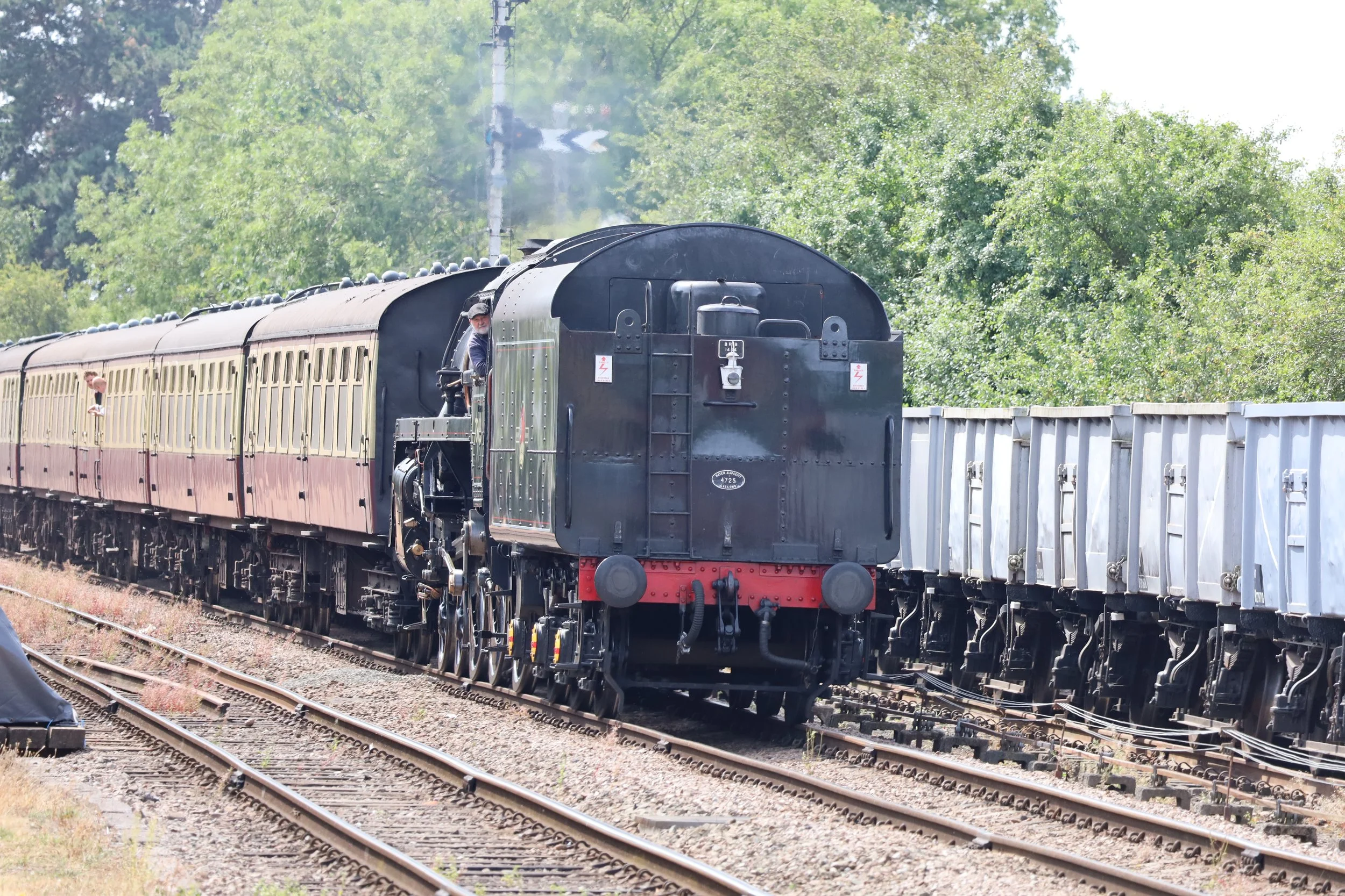 A black vintage steam locomotive pulling beige passenger cars on railroad tracks through a green, tree-filled landscape.