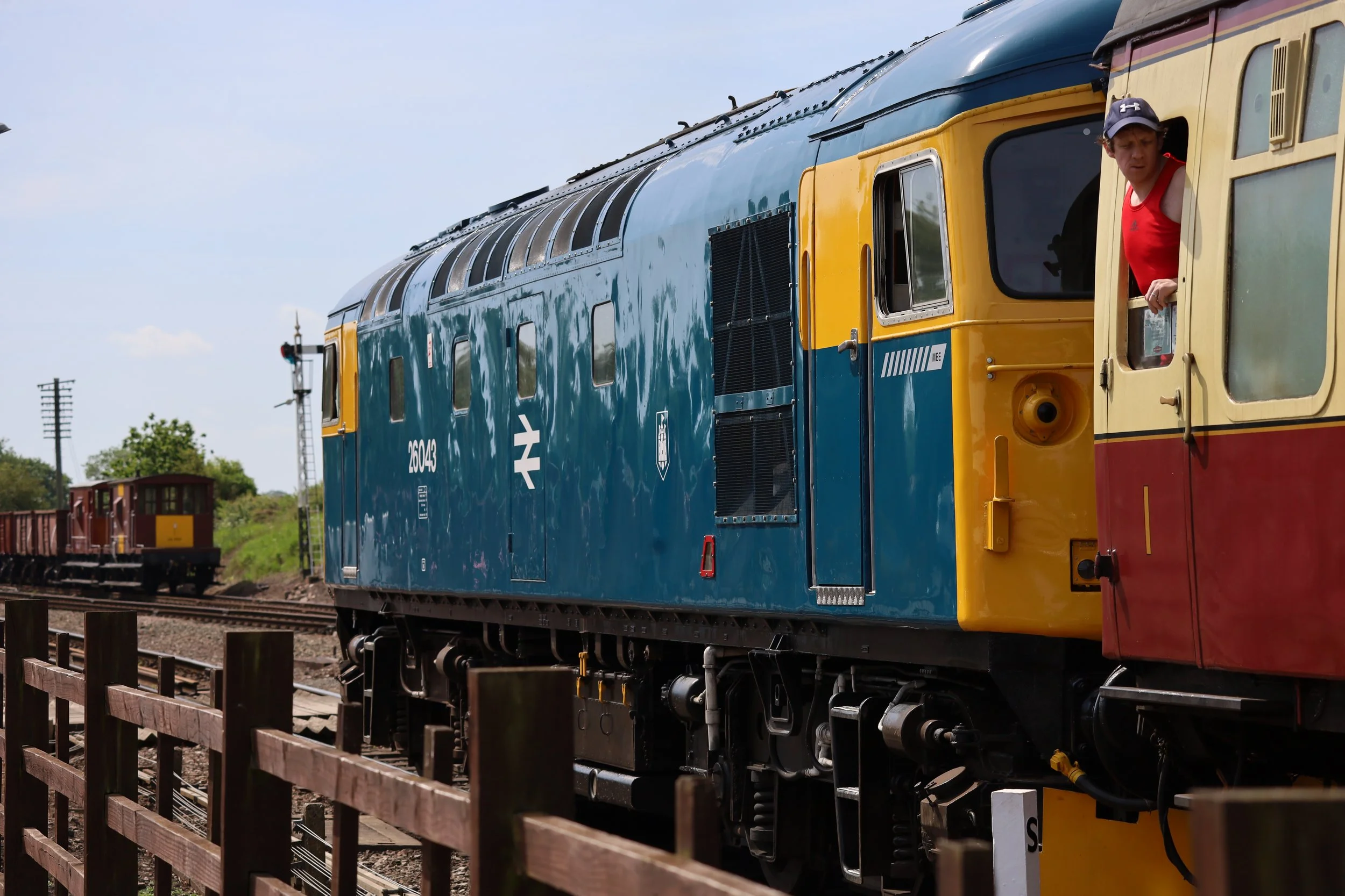 A vintage train with a blue and yellow locomotive, with a man in a red tank top and cap leaning out of the window, on a railway track.