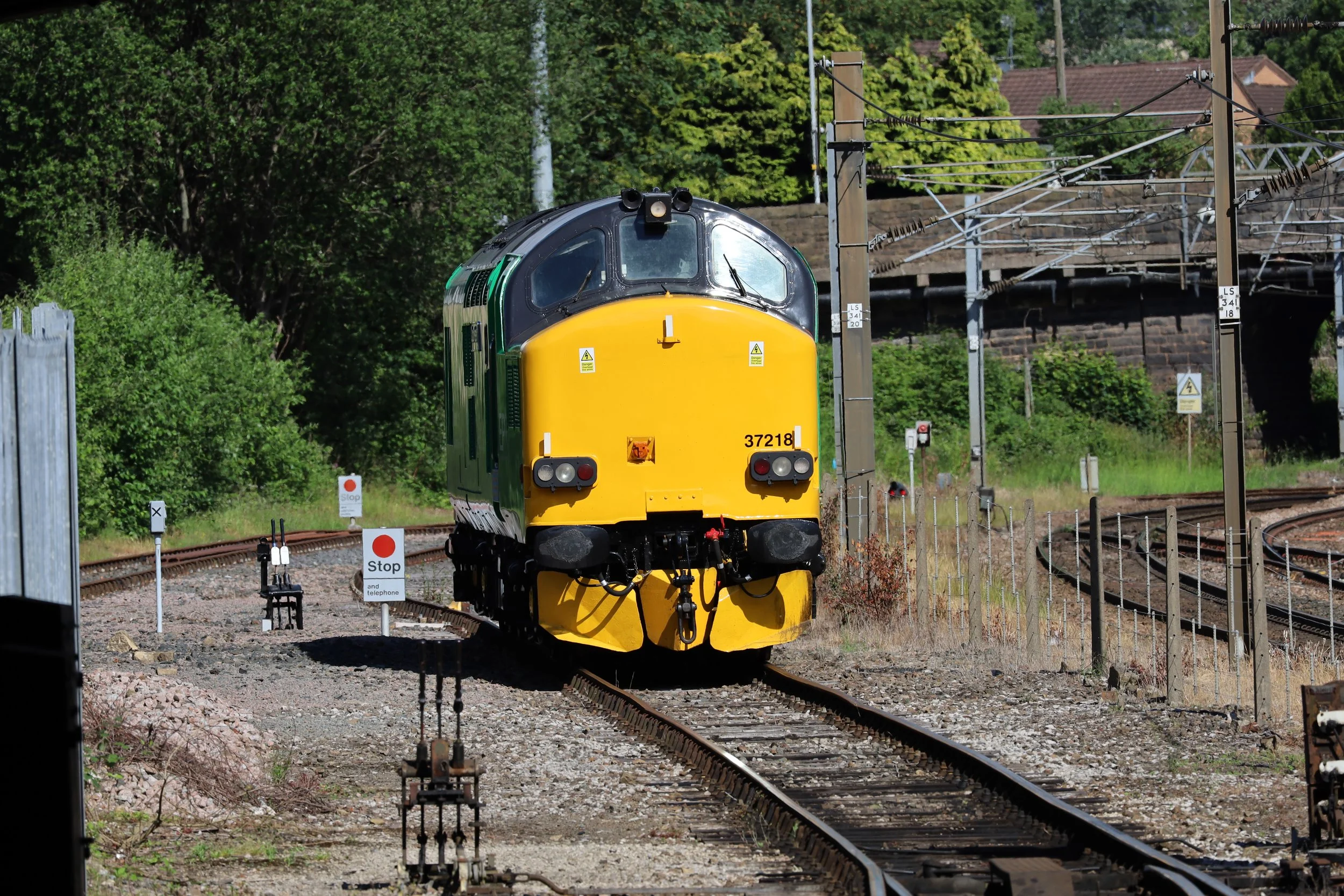 A yellow and black diesel train approaching on railway tracks with overhead wiring, surrounded by green trees and a partly visible residential area in the background.