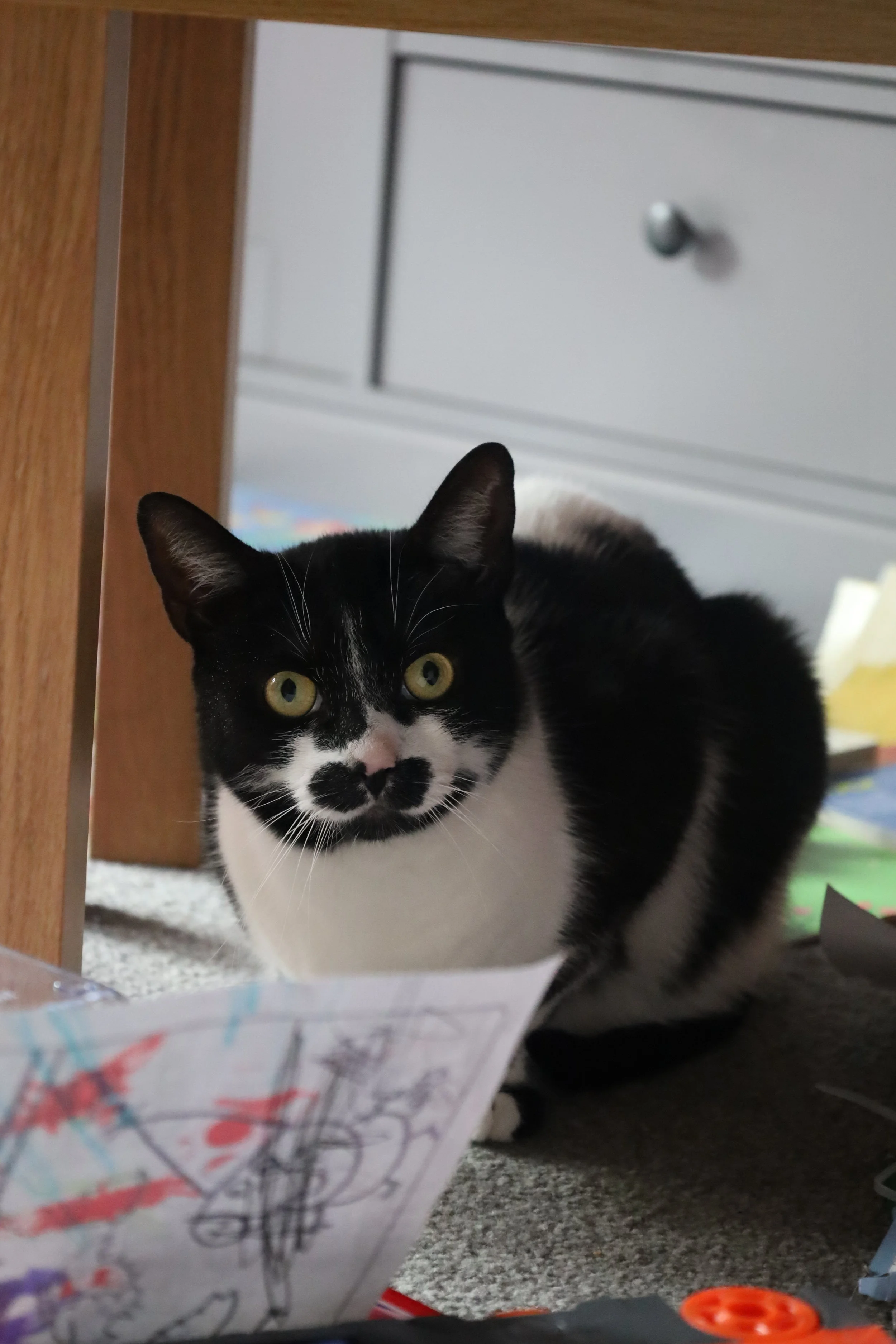 A black and white cat with yellow eyes and a pink nose peeking over a piece of colorful, crayon or marker drawn paper on a gray carpeted floor, with part of furniture visible in the background.