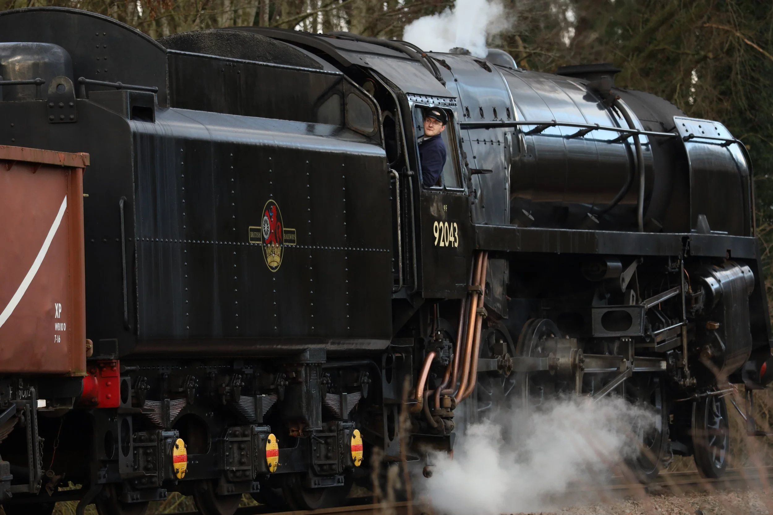 A black steam locomotive with a person in the driver's cab, emitting steam and smoke, traveling through a wooded area.