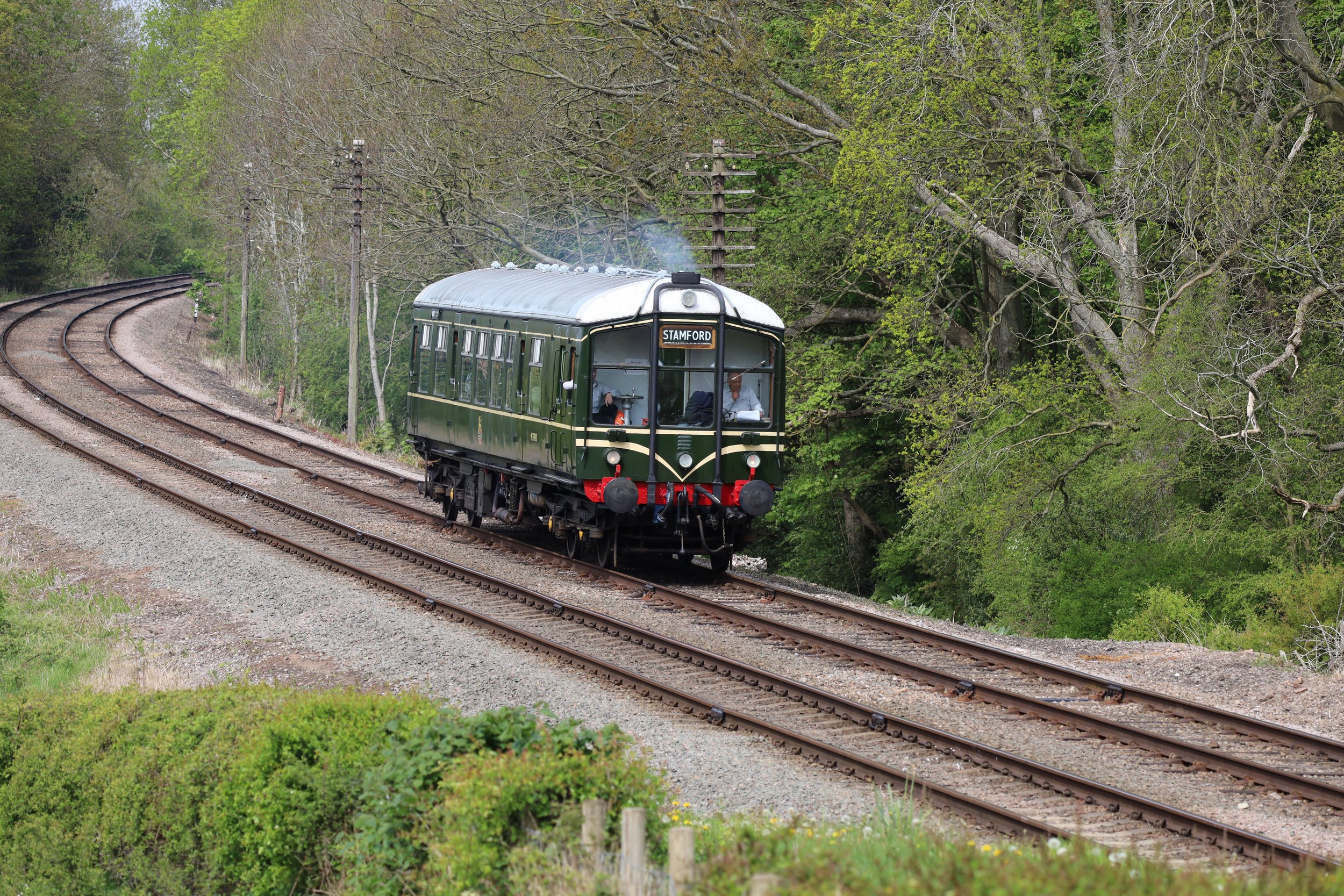 A vintage green train traveling on curved railway tracks through a lush green forest area characterized by tall trees with new spring leaves.