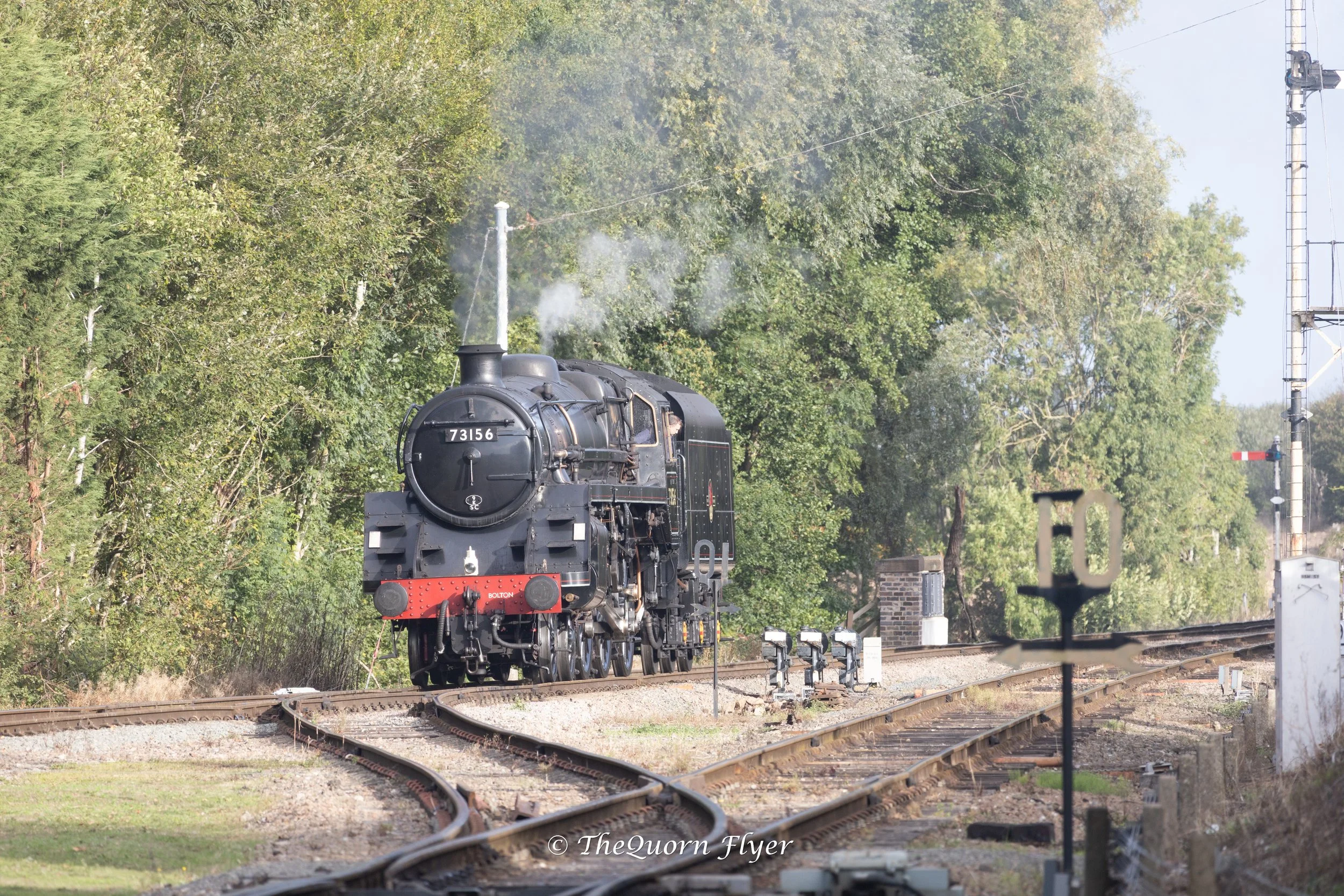 A vintage black steam locomotive with the number 73156 on its front, traveling on railway tracks through a green, wooded area during daytime.