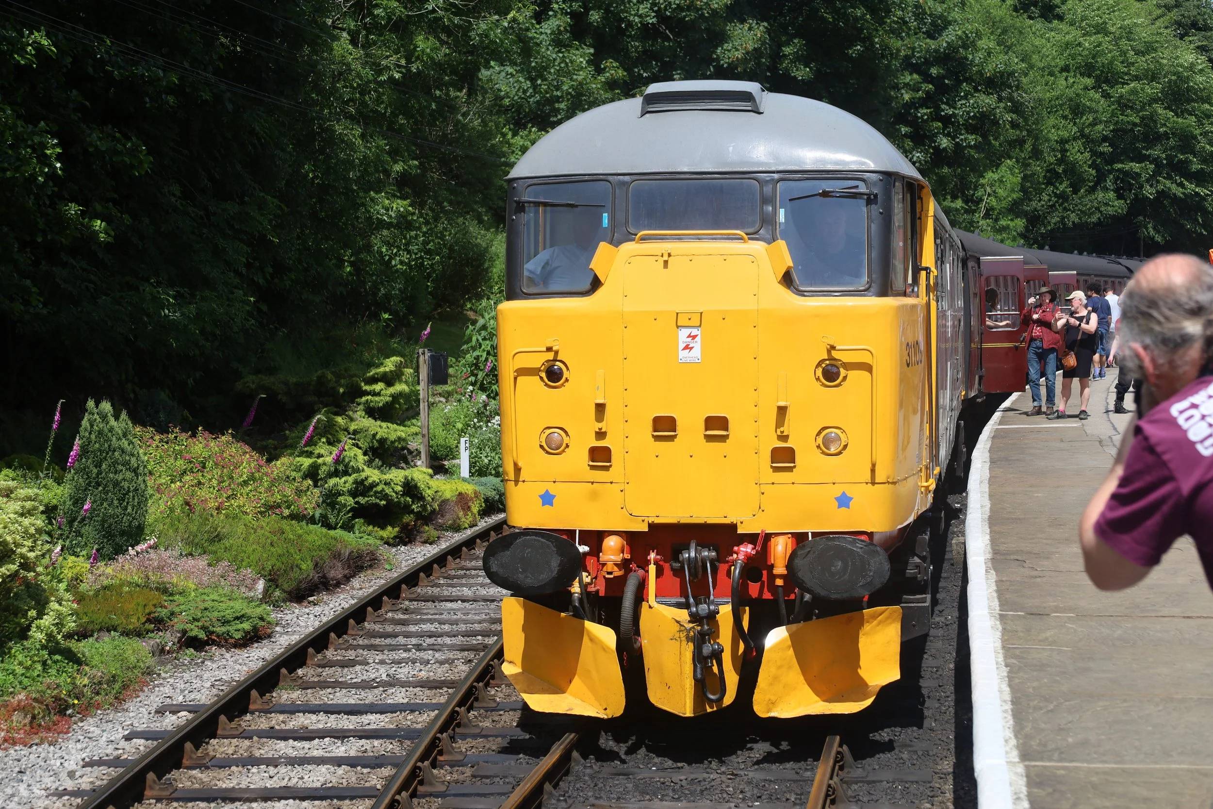 A yellow train arriving at a platform with lush green trees in the background and people waiting and taking photos.