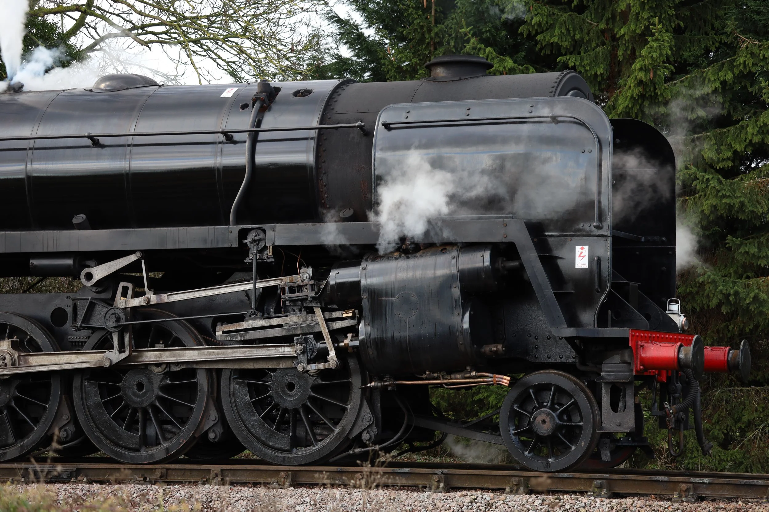 A close-up of a black vintage steam locomotive with steam coming out, set against a background of green trees.