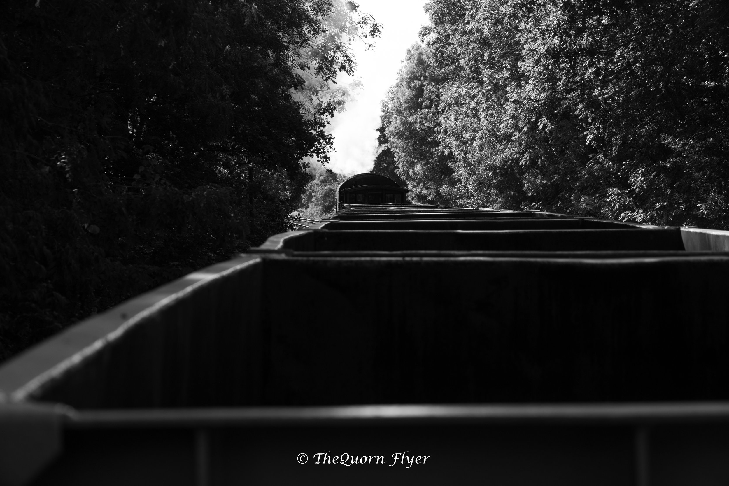 A black and white photo from the perspective of a train looking down the tracks, surrounded by trees on both sides, with a tunnel or archway in the distance.