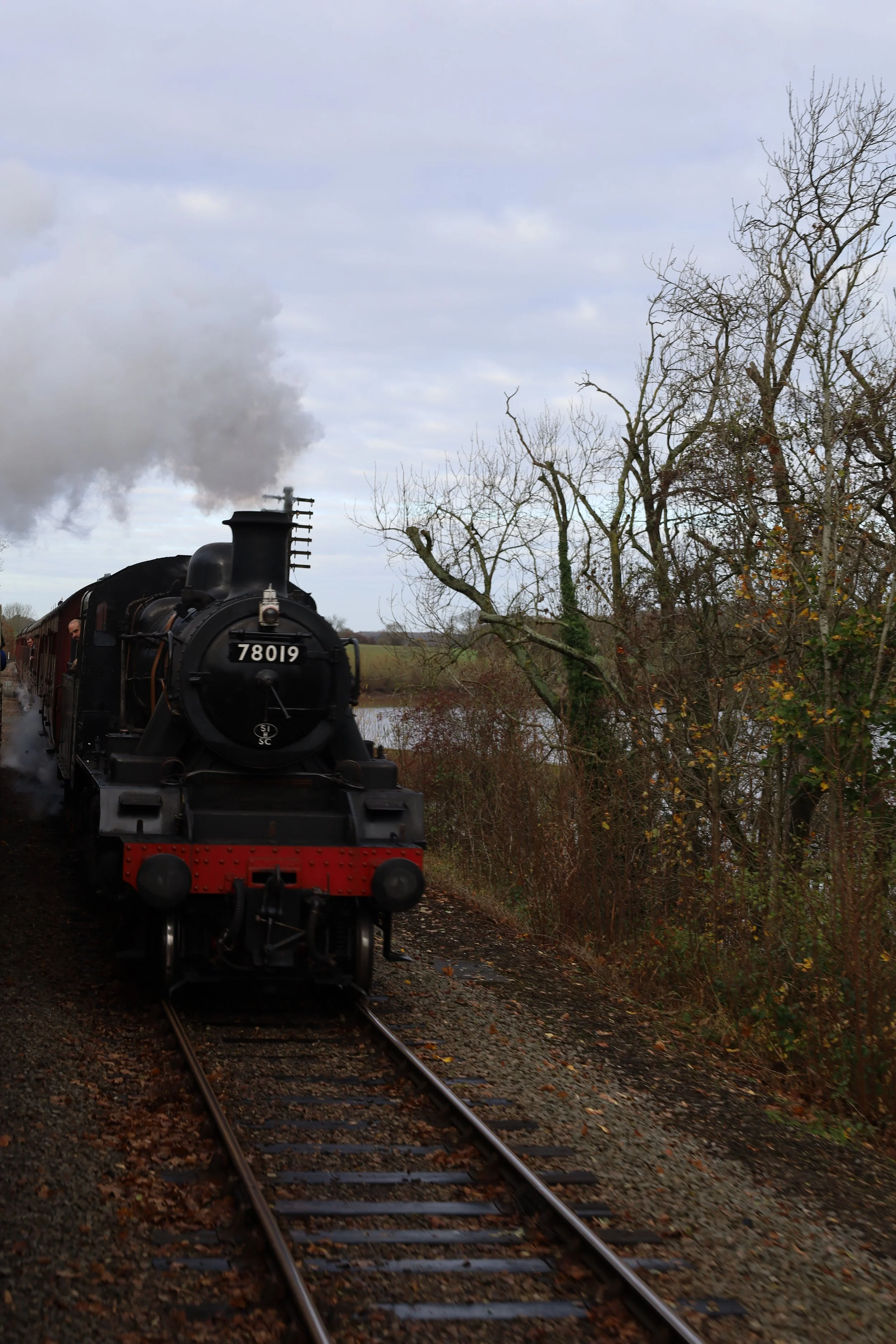 A black vintage steam train traveling on railway tracks through a rural landscape with leafless trees and cloudy sky, smoke billowing from the engine.