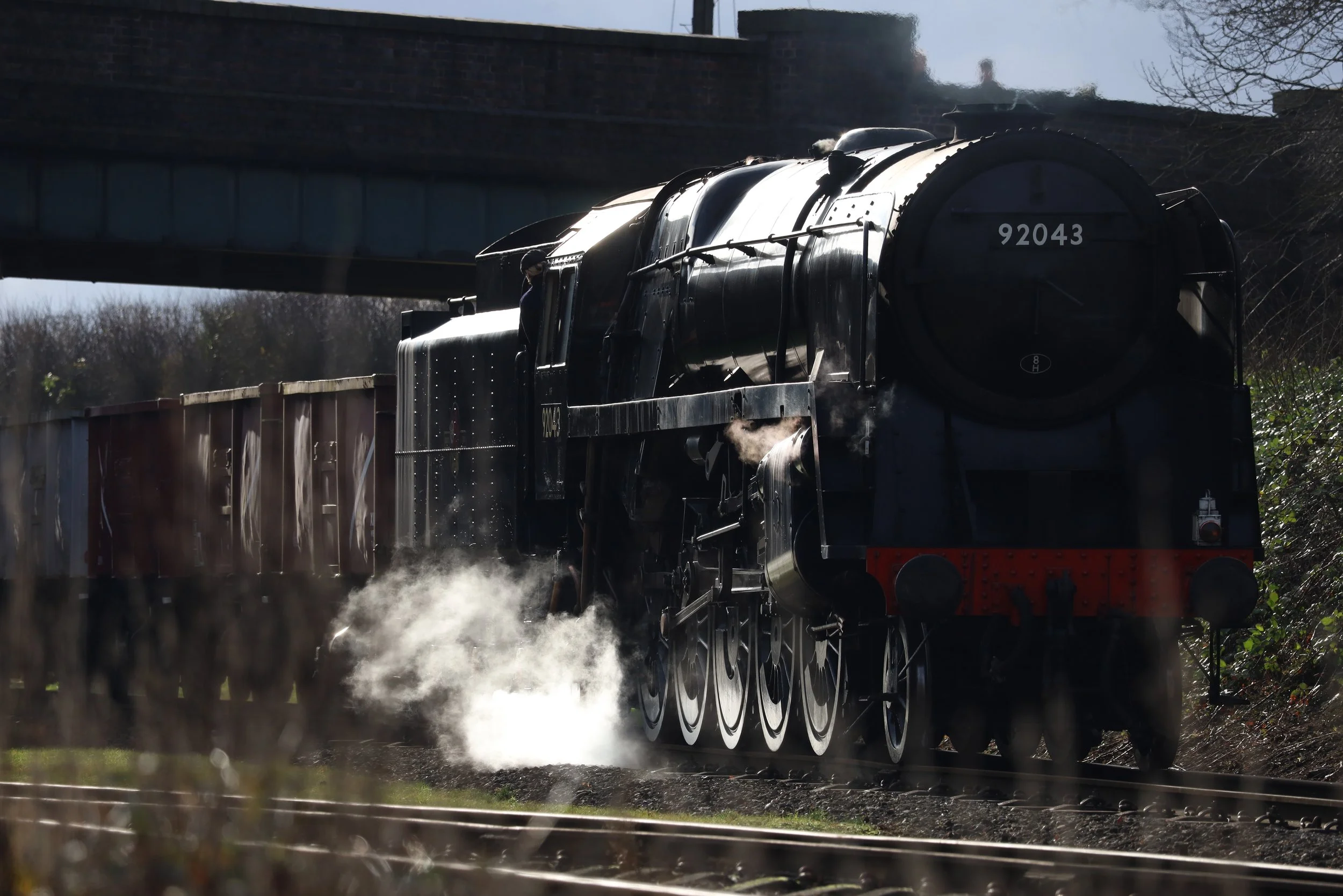 A black steam locomotive train traveling on tracks during the daytime, with steam rising from its engine and a bridge overhead, background includes trees with no leaves.