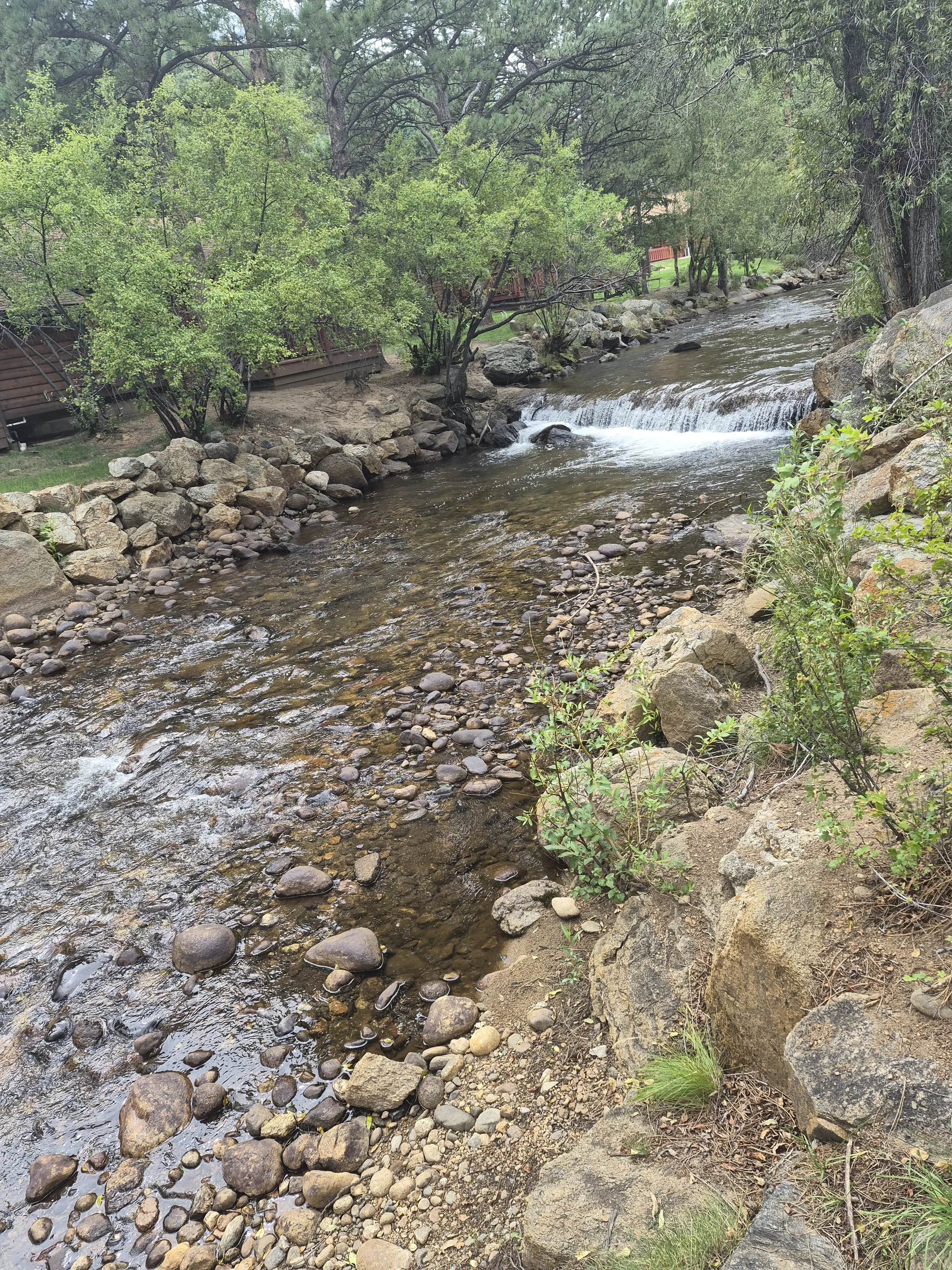 A small Colorado stream of water flowing over rocks, flanked by green trees and bushes with a grassy area and a red fence in the background.