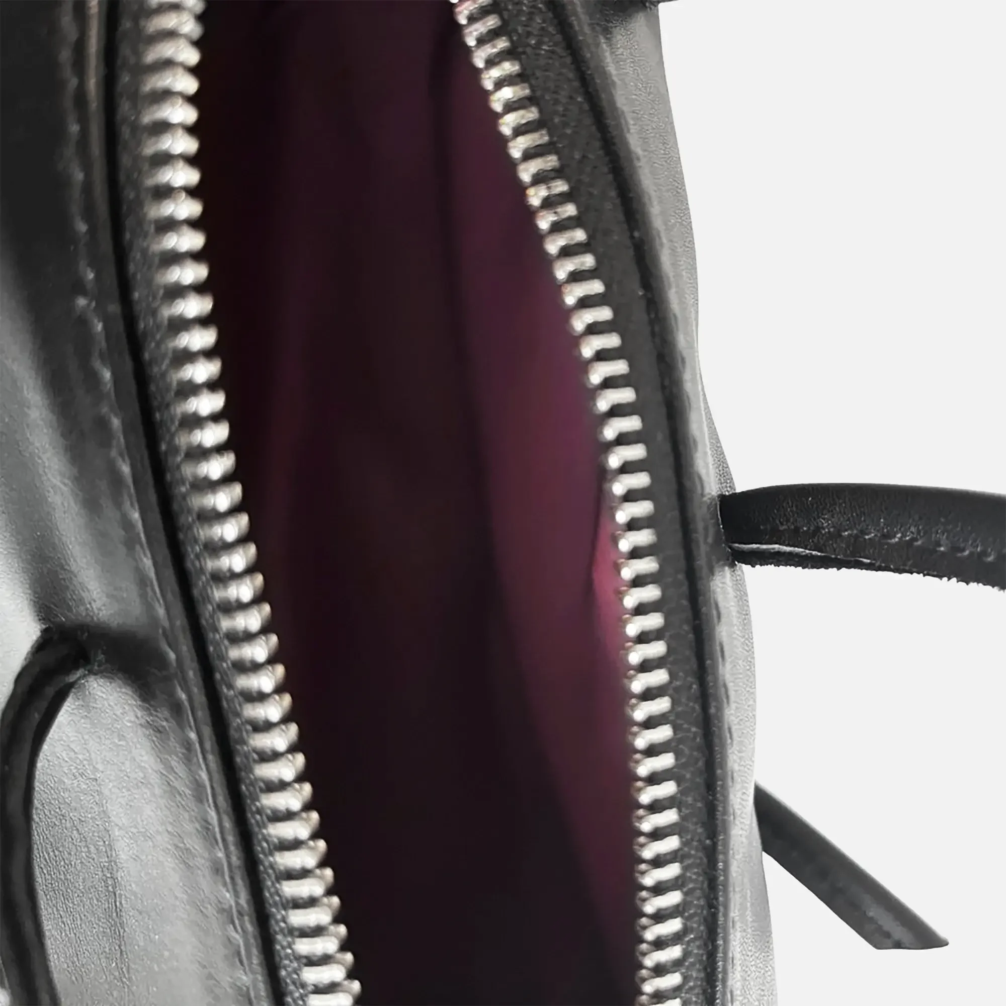 Worm_Black-3.webp