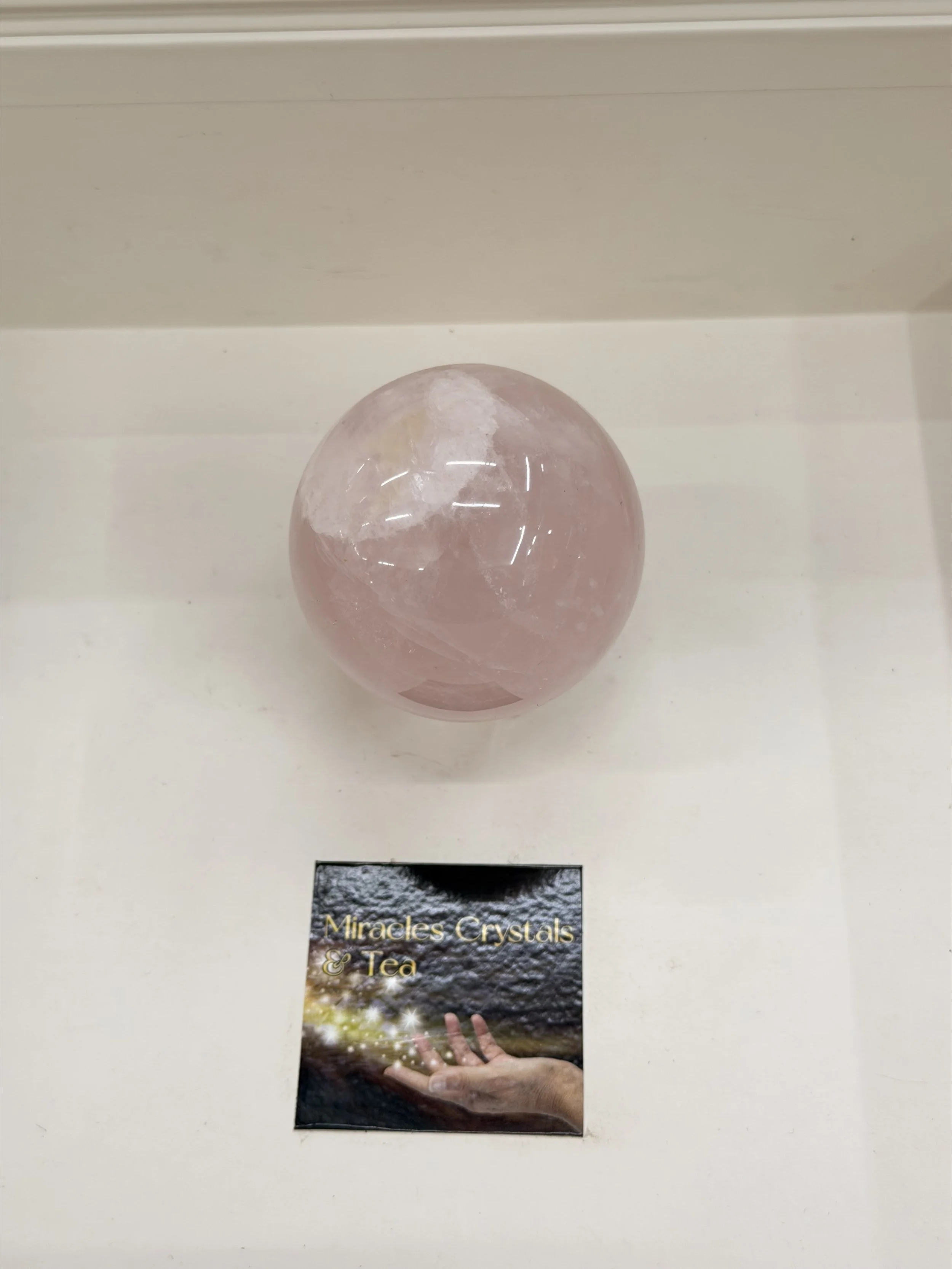 IMG_3856.jpeg