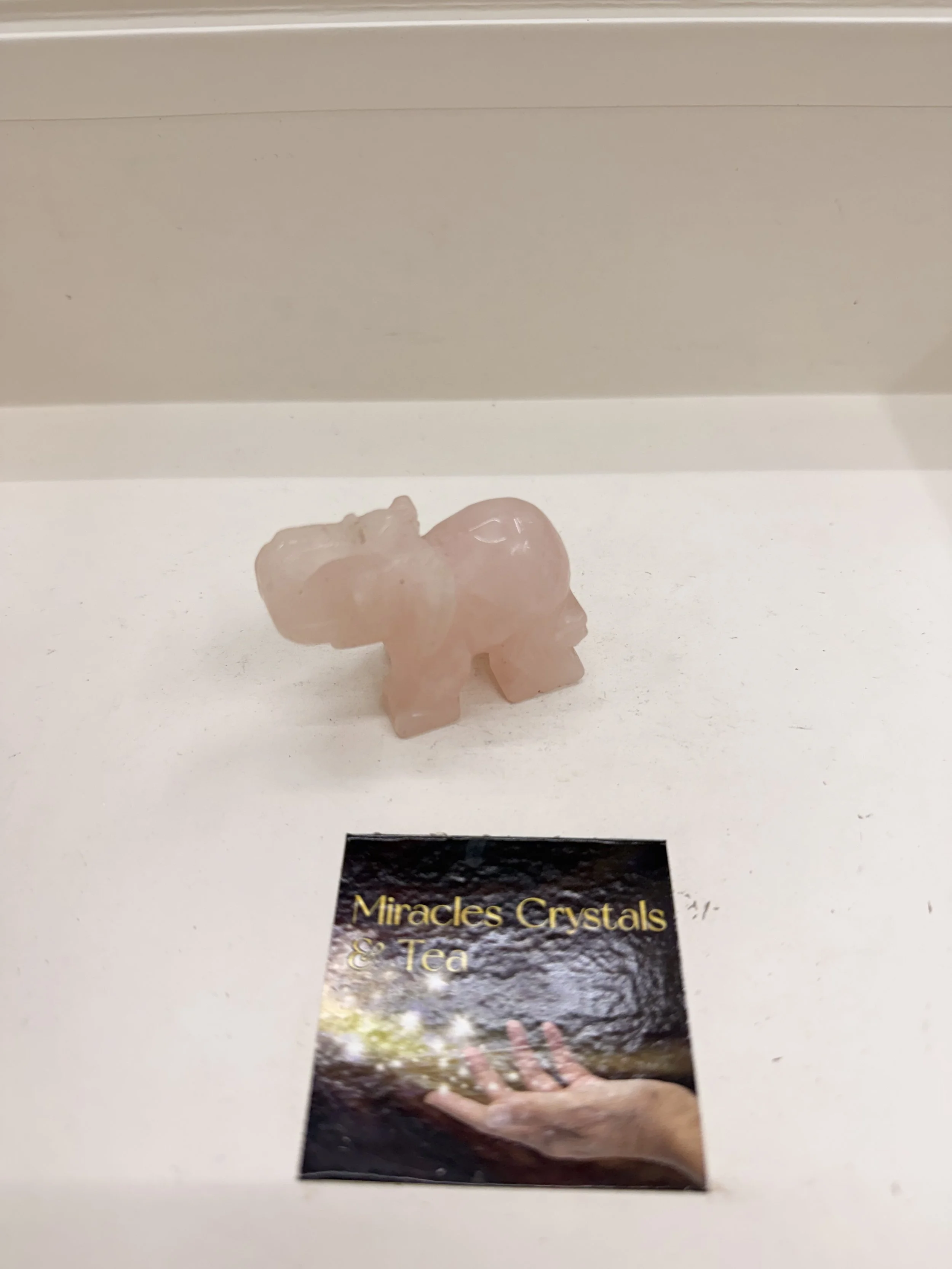 IMG_4166.jpeg