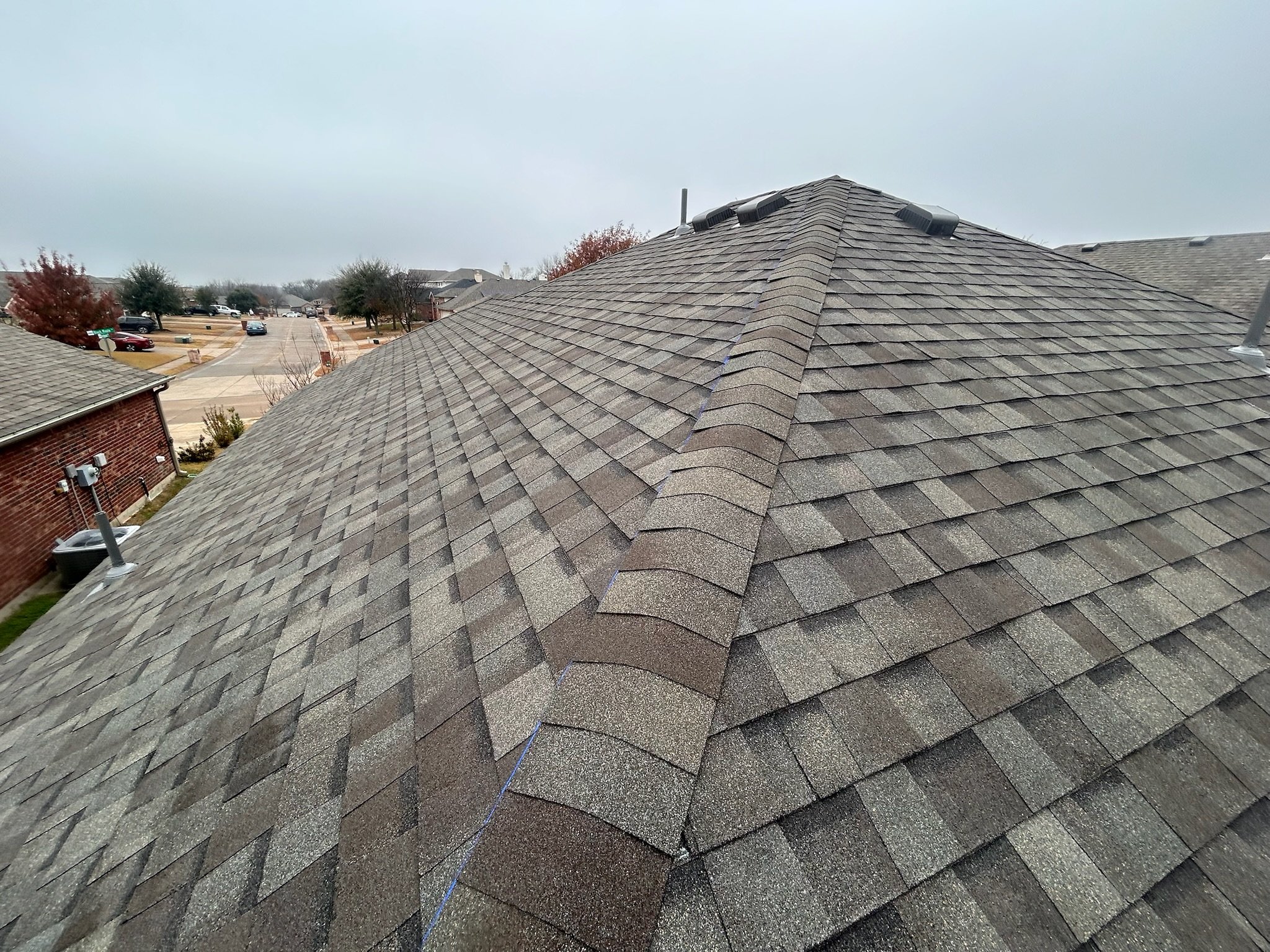 A rooftop with gray asphalt shingles, vents, and a seagull perched on the right side. In the background, a neighborhood with trees, parked cars, and a street is visible under an overcast sky.
