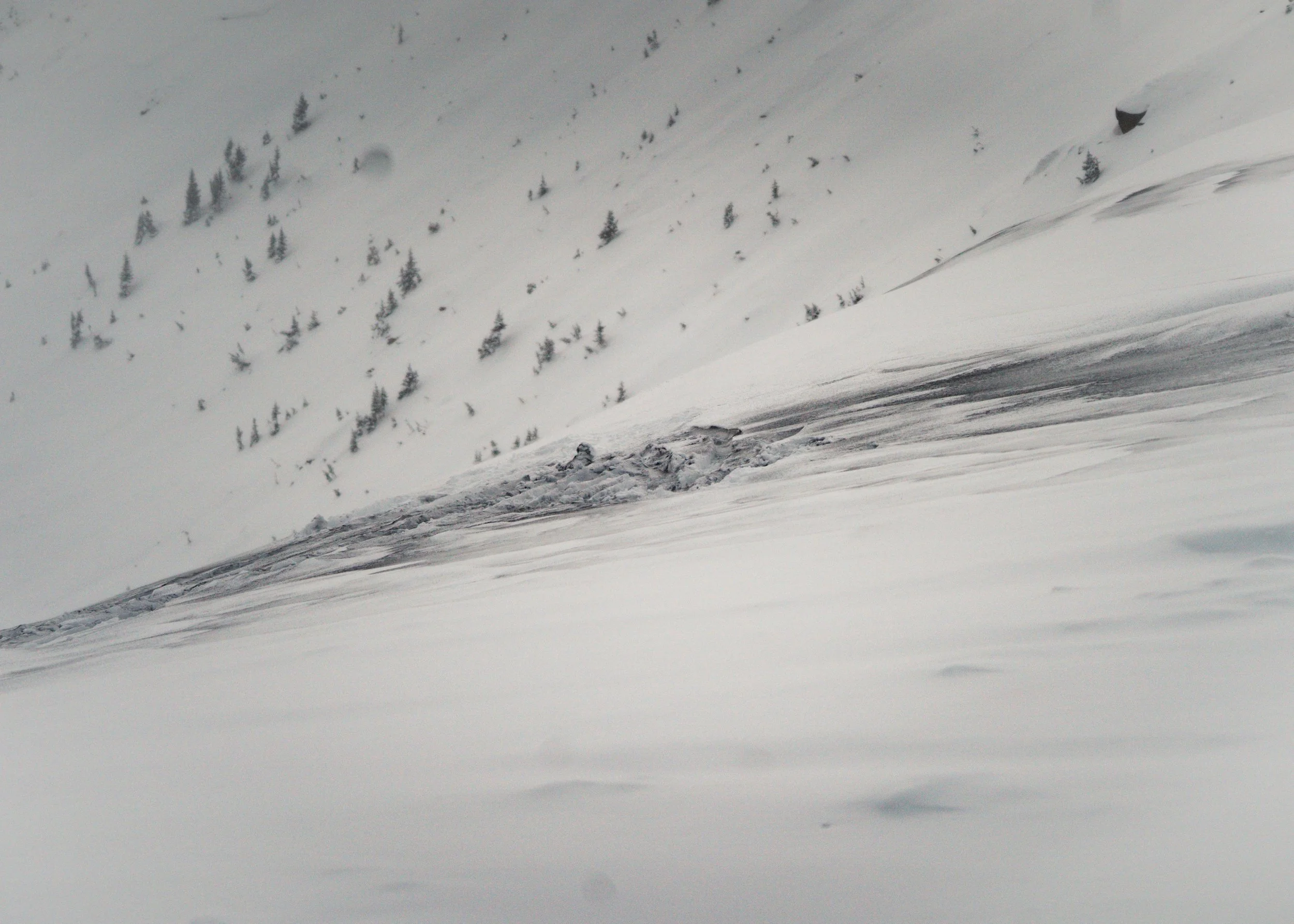 Snow-covered mountain slope with a snowcat track and scattered small trees.