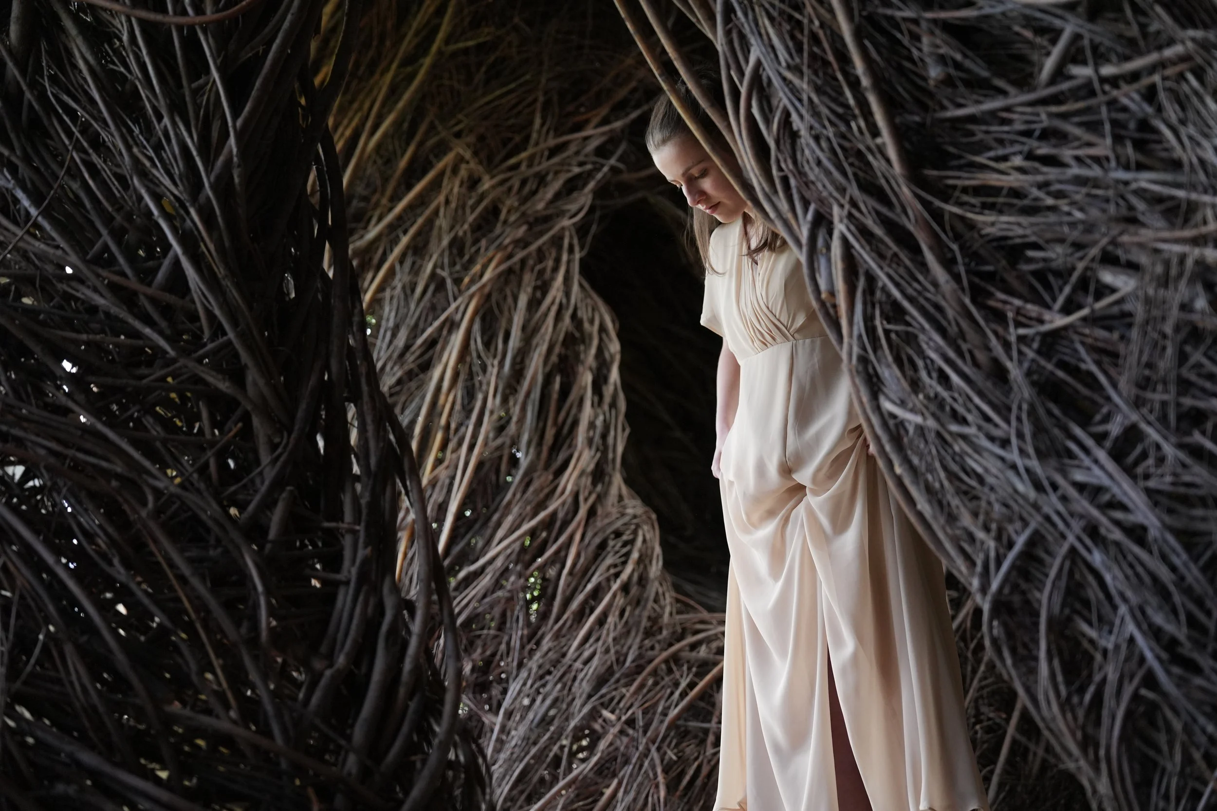 Dancer standing in artistic vines