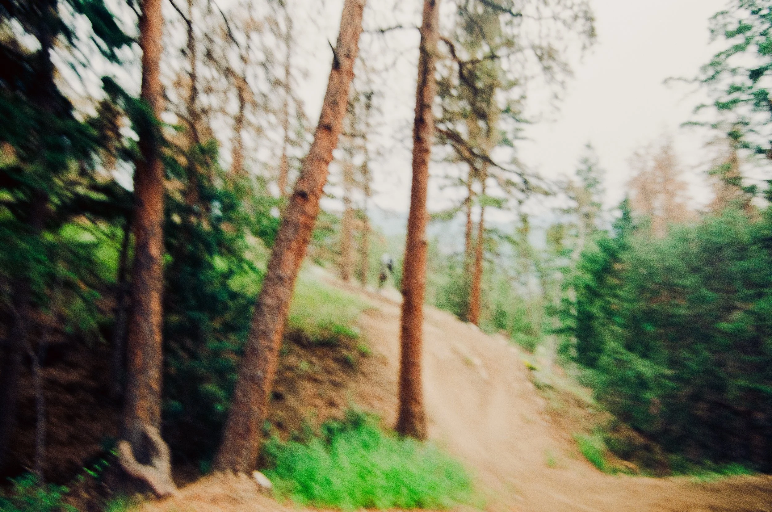 35mm Film photo of biker far away with blurry trees