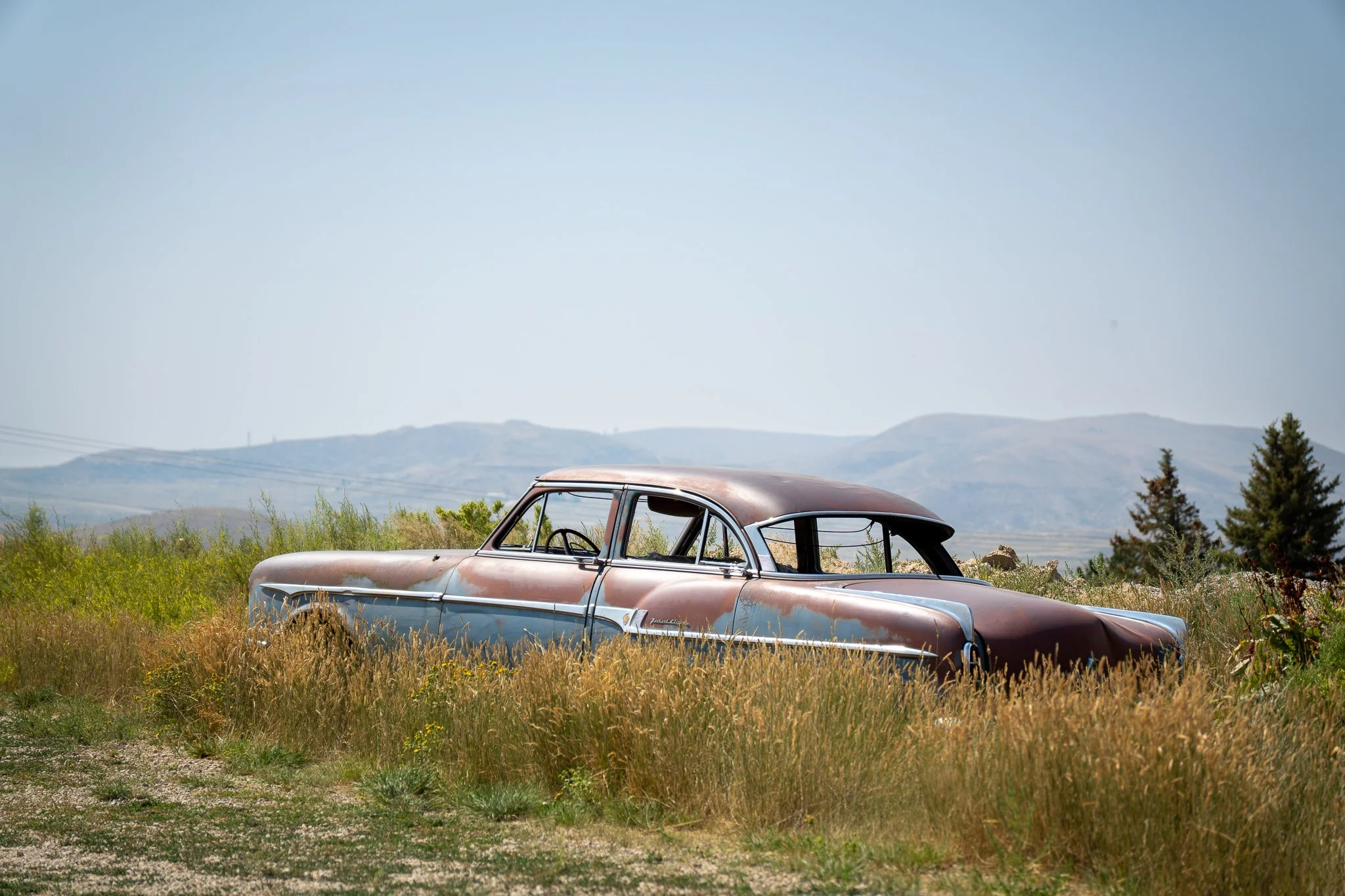 Old, rusty car sitting in tall grass