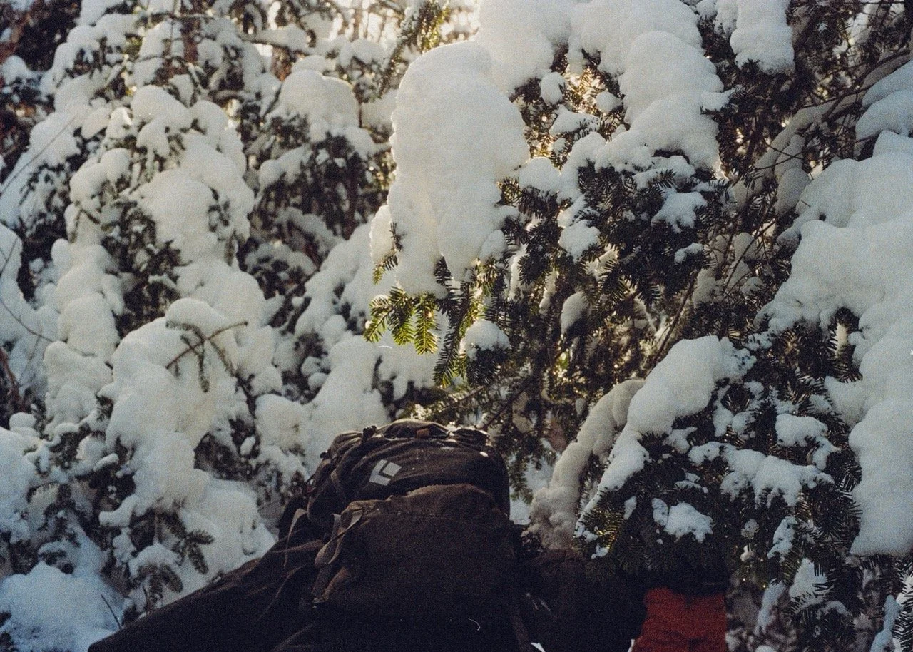 35mm Film Photo of Skier with backpack ducking under snowy tree