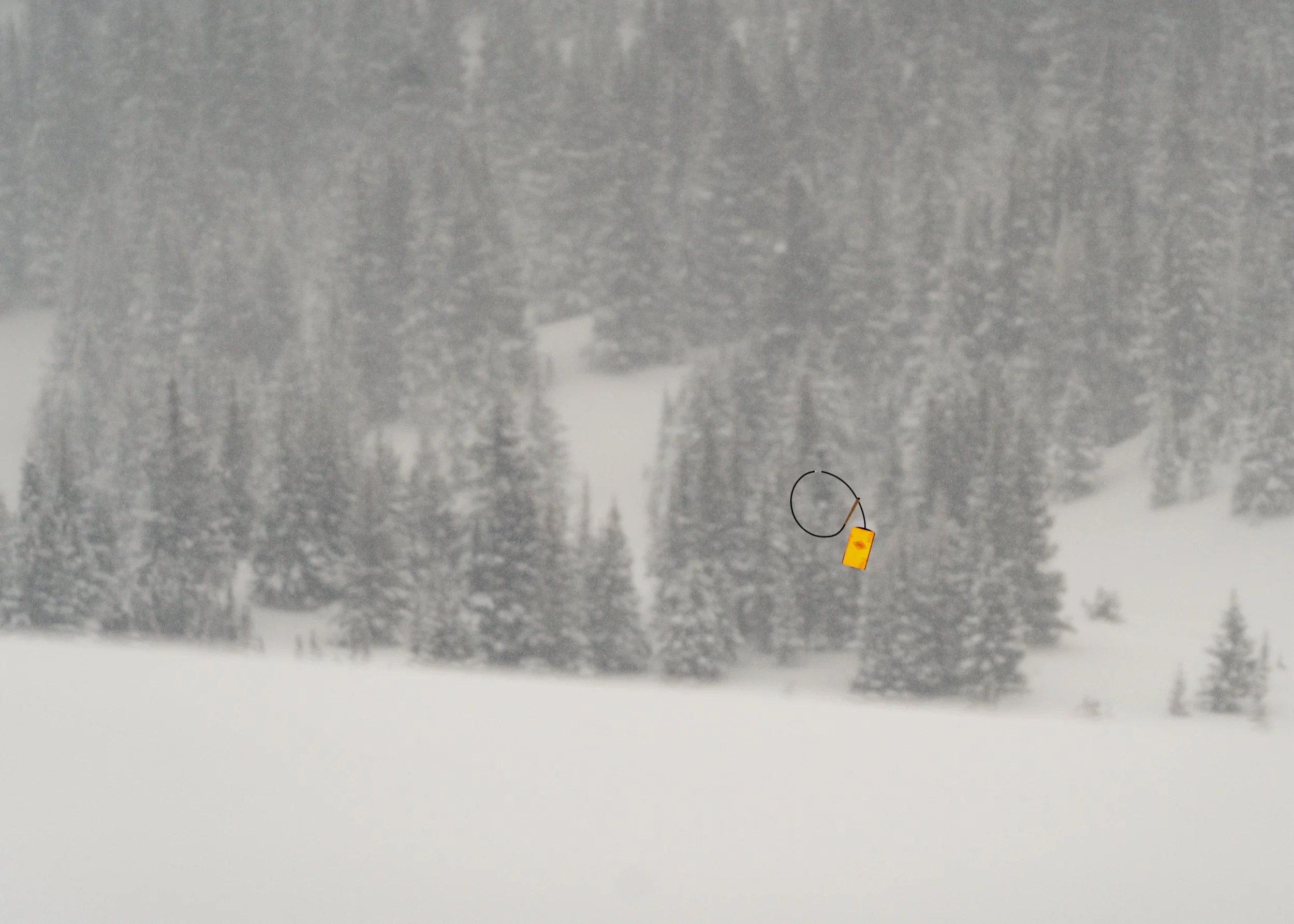 Snowy landscape with dense snow-covered trees in the background and a snow-covered road or field in the foreground. A small fishing rod with yellow tag attached is visible in the bottom right corner.