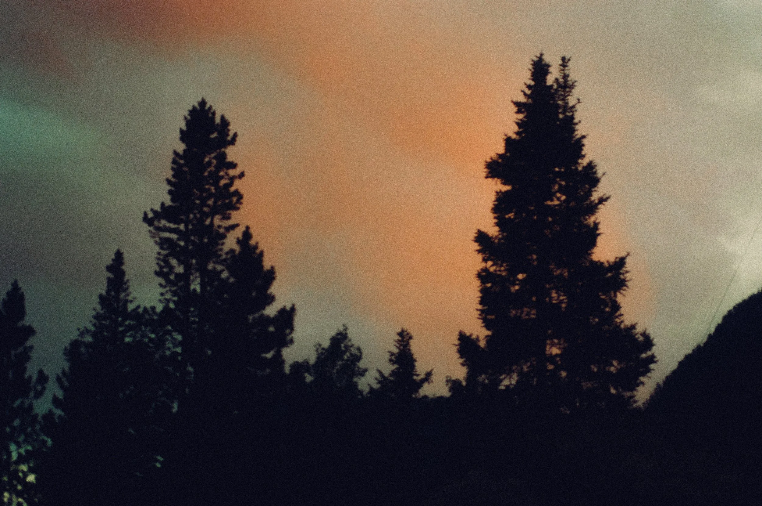 35mm Film Photo of two sillouted trees in a orange cloud