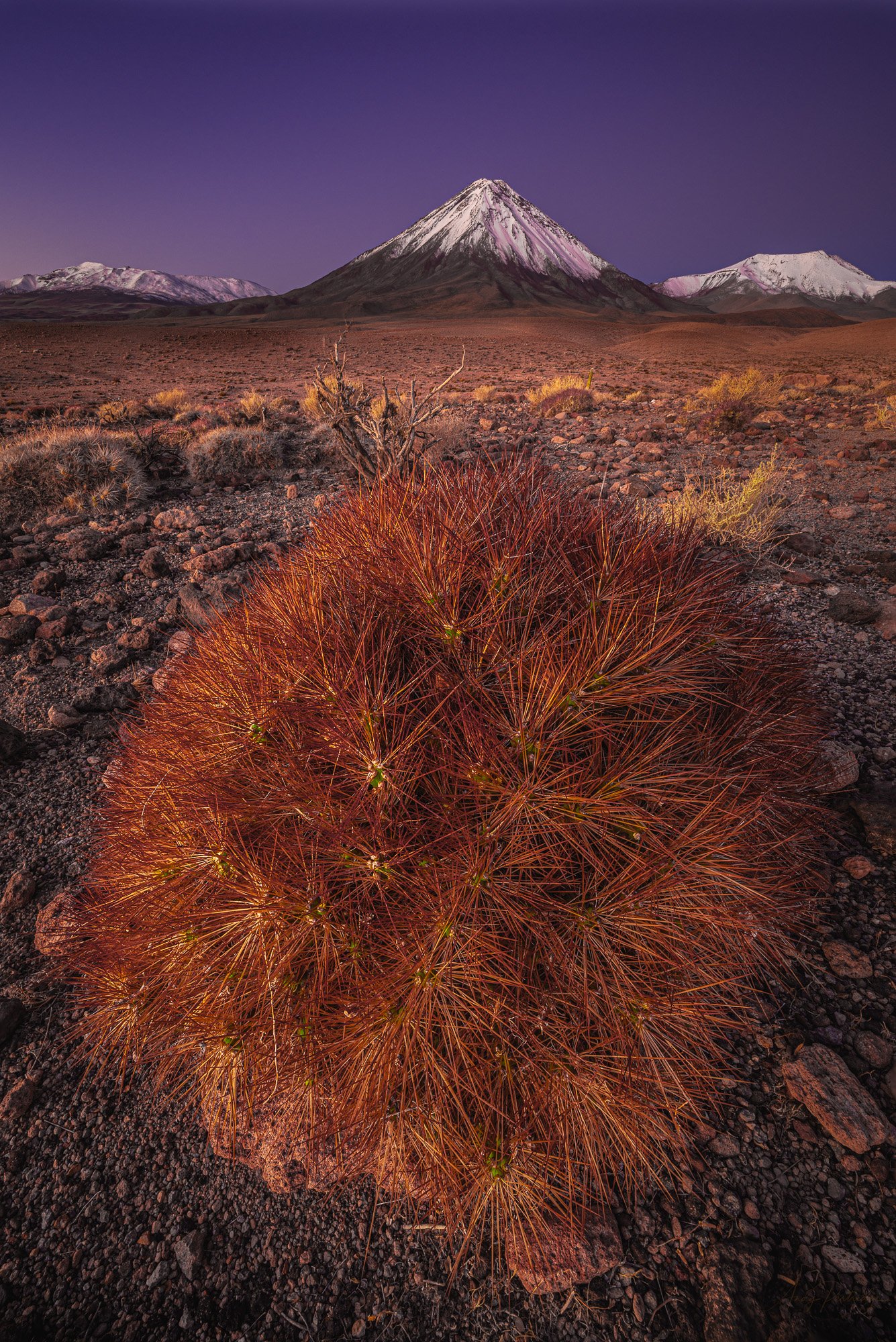 Licancabur at Blue Hour.jpg