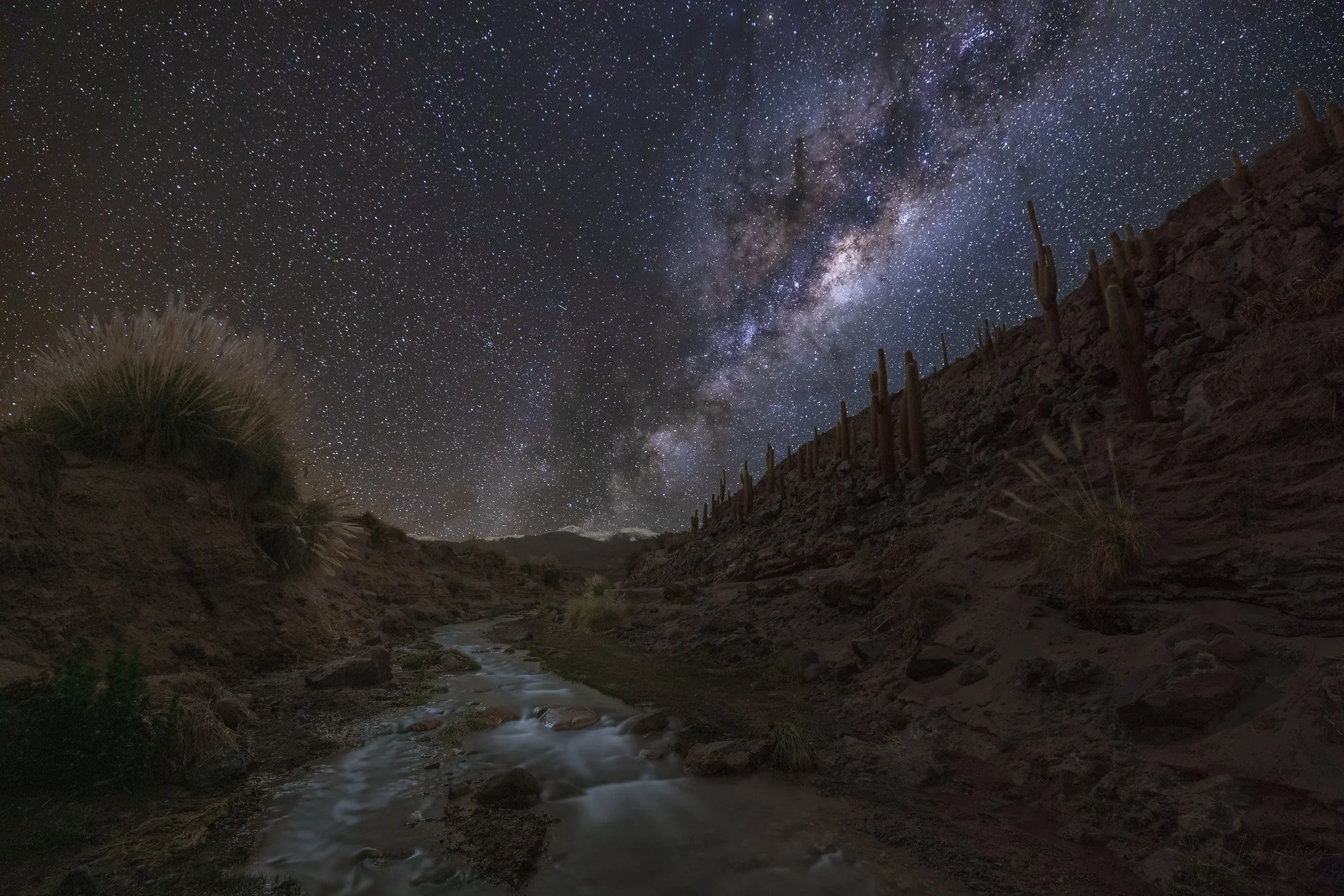 Cactus Valley.jpg