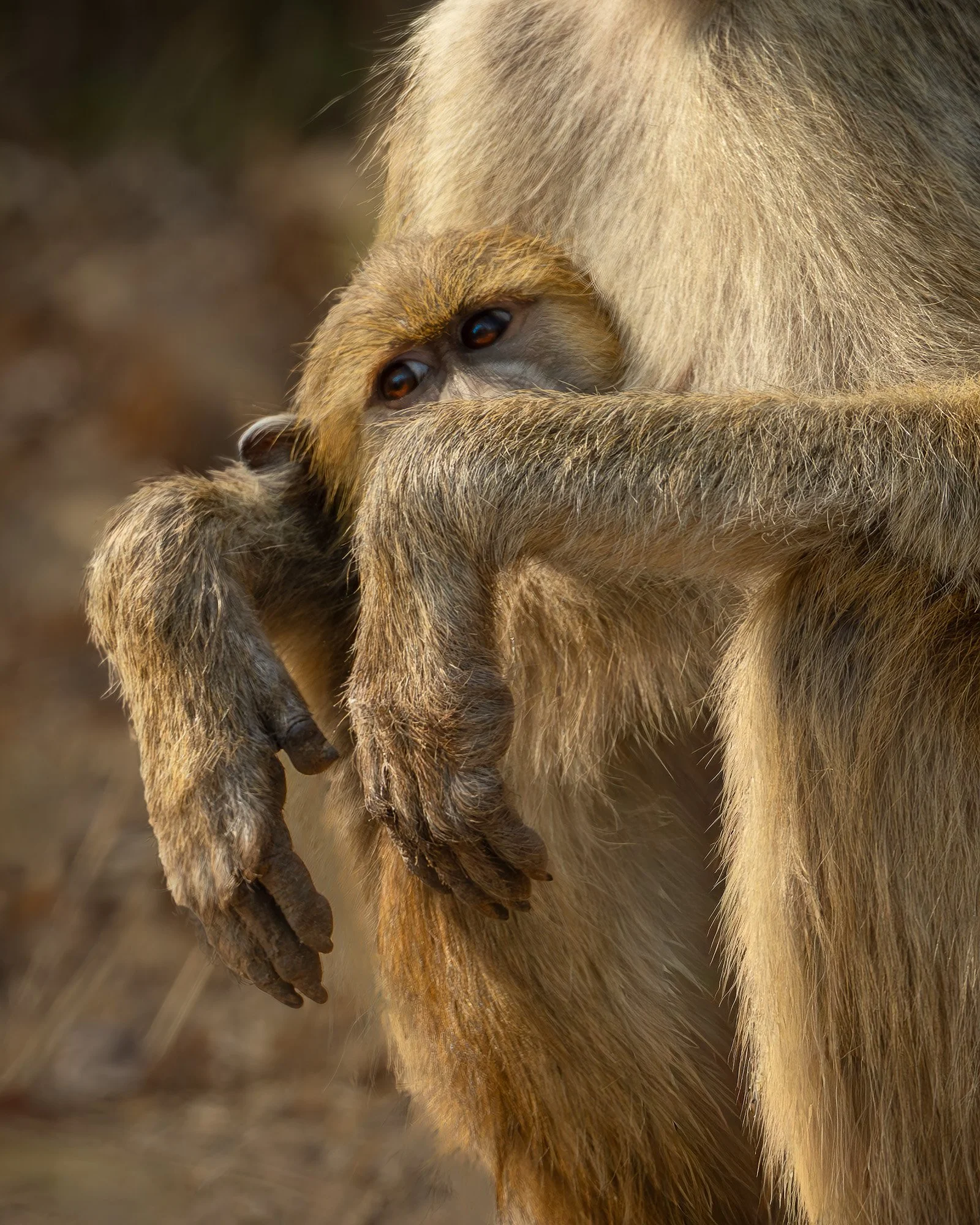 Mother and Baby.jpg