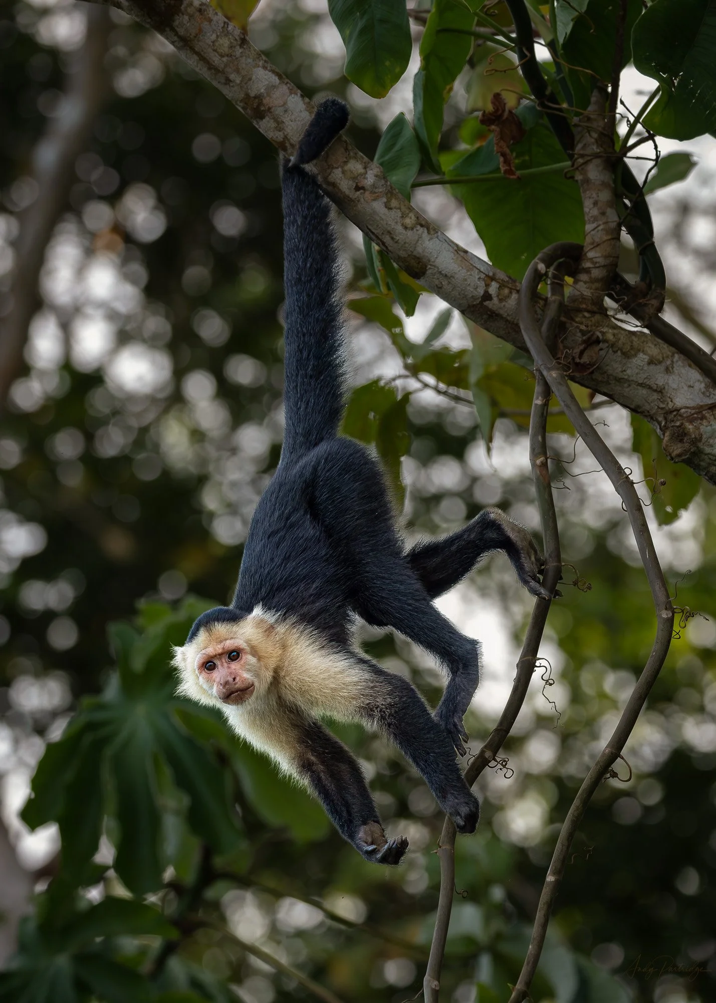 Hanging Around.jpg