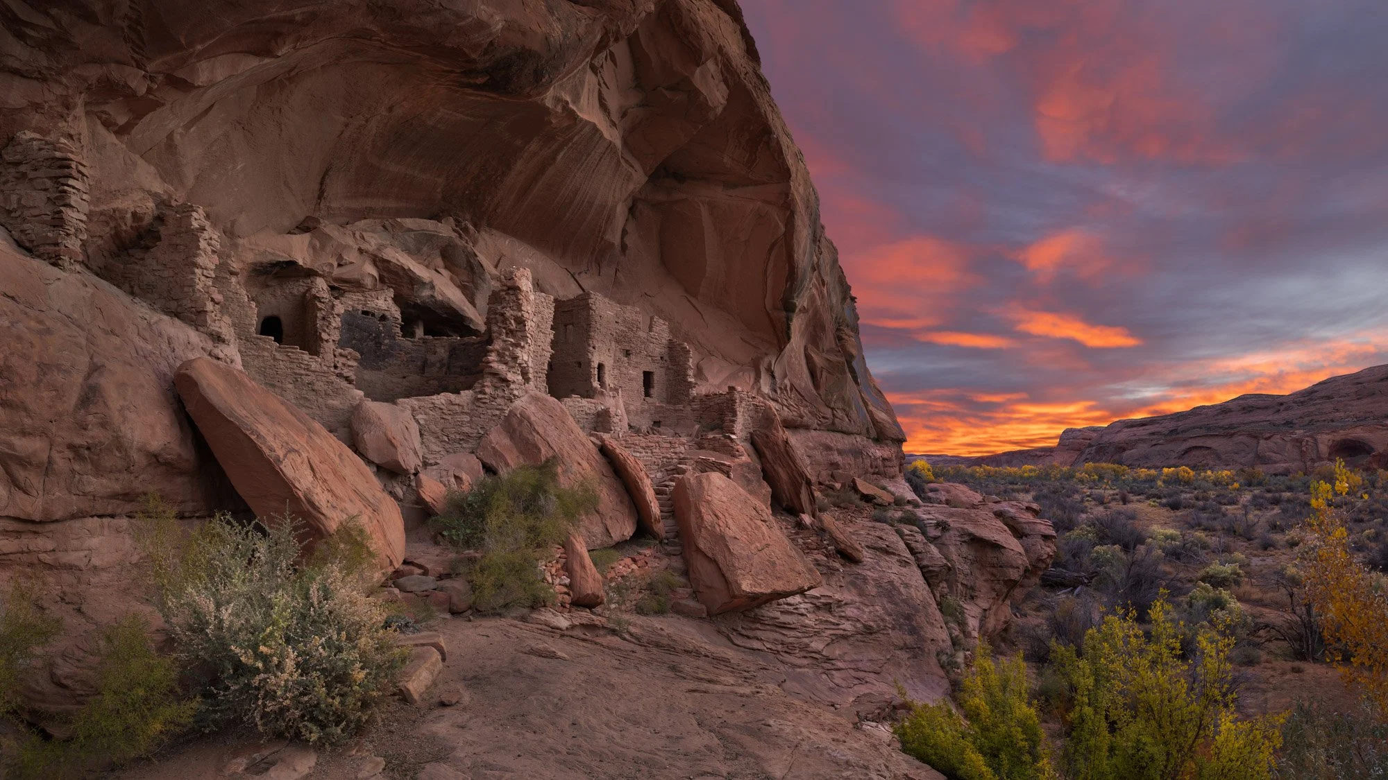 Images of the Ancients November 2024