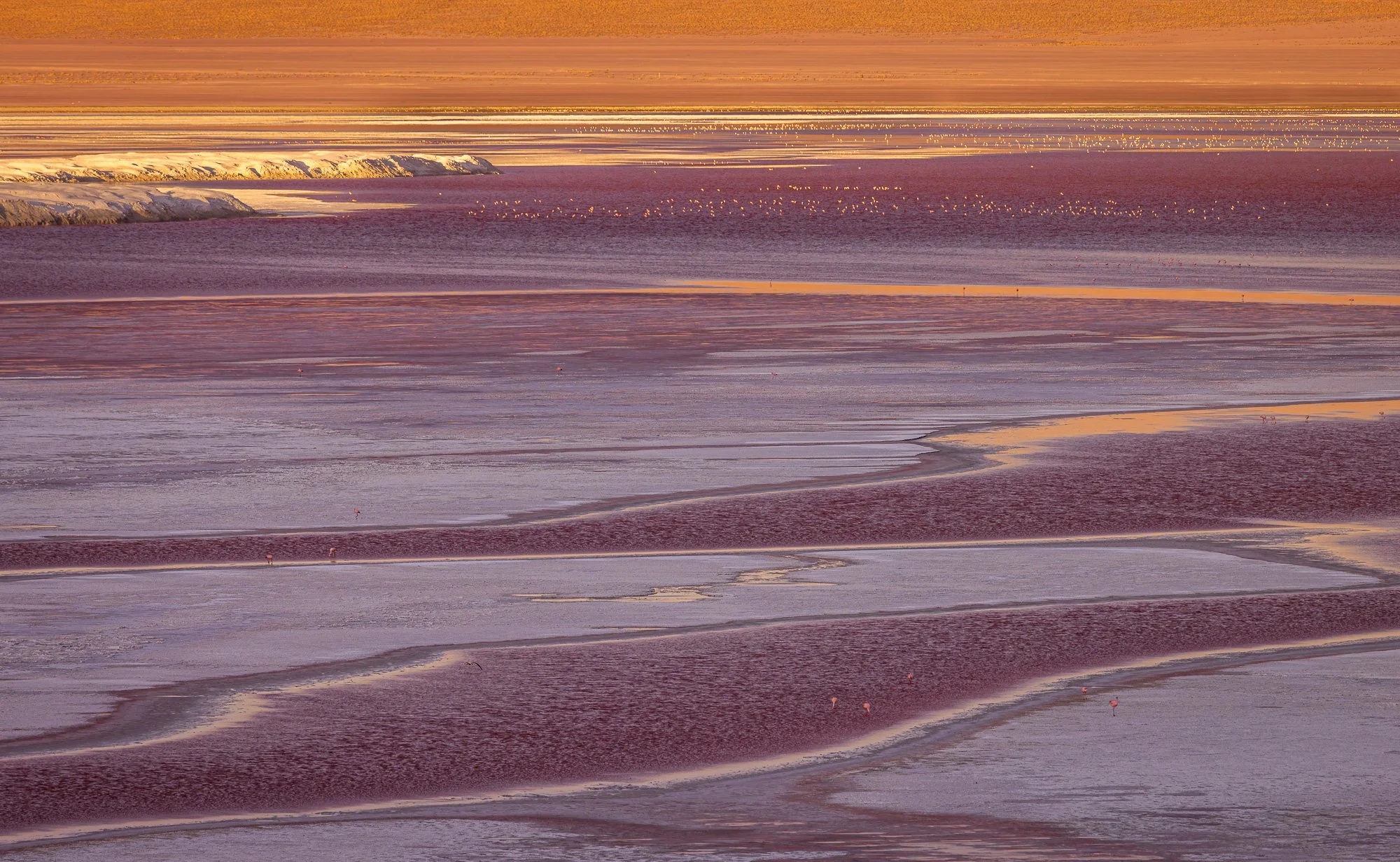 untitled-45-Enhanced-NR.jpg