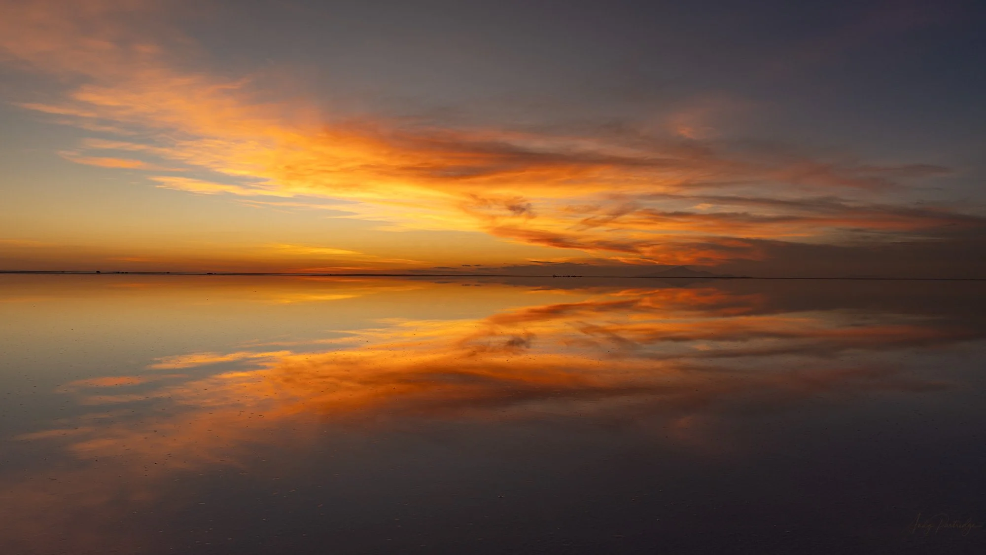 untitled-119.jpg