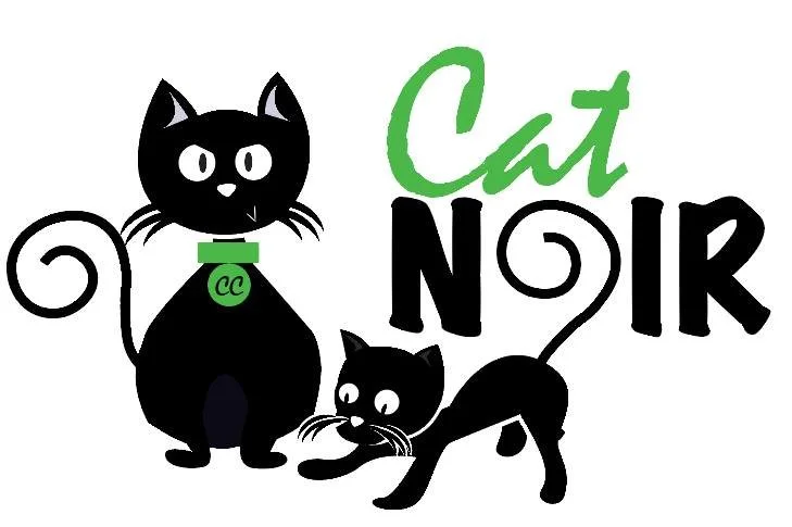 Cat Noir CC